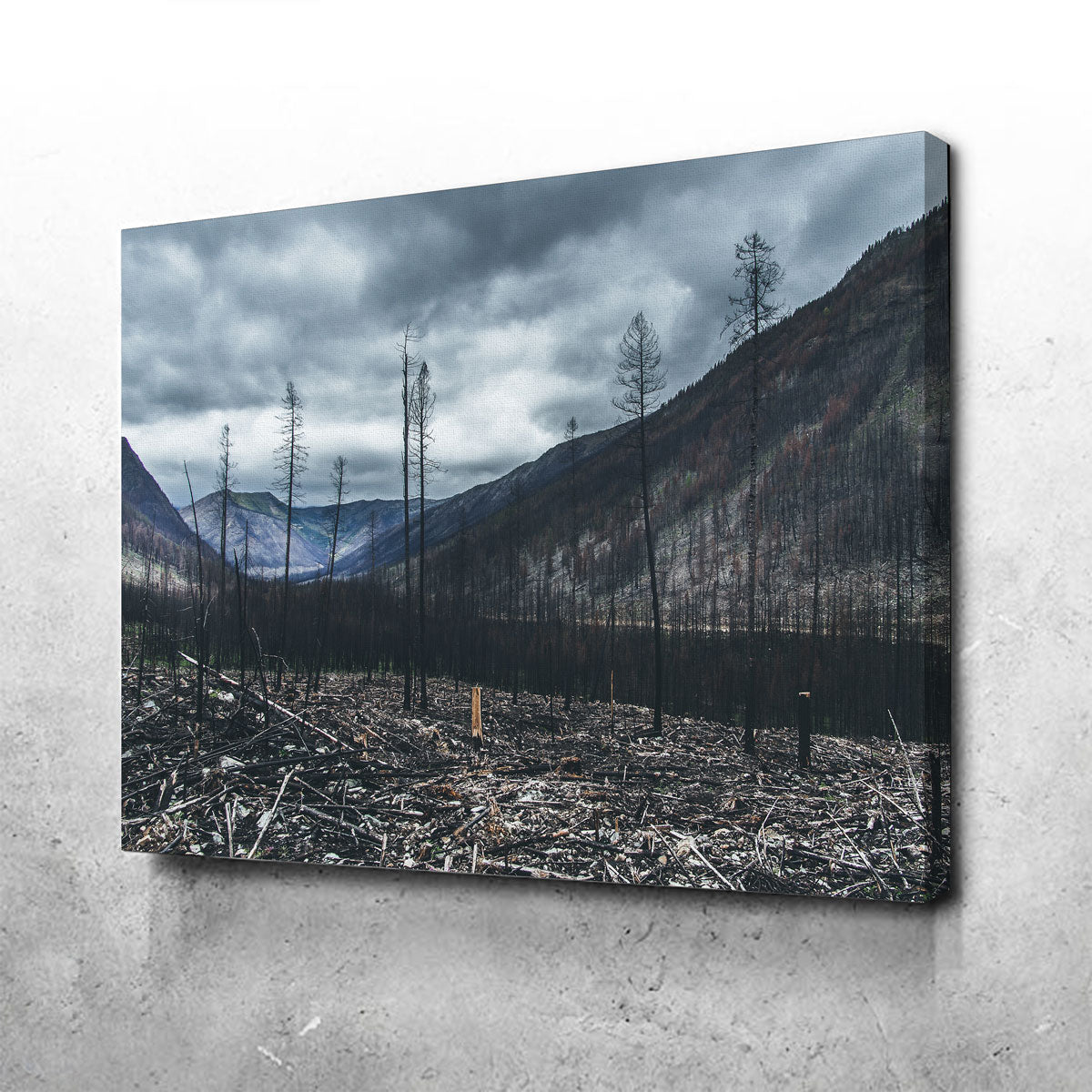 Scorched Trees Wall Art