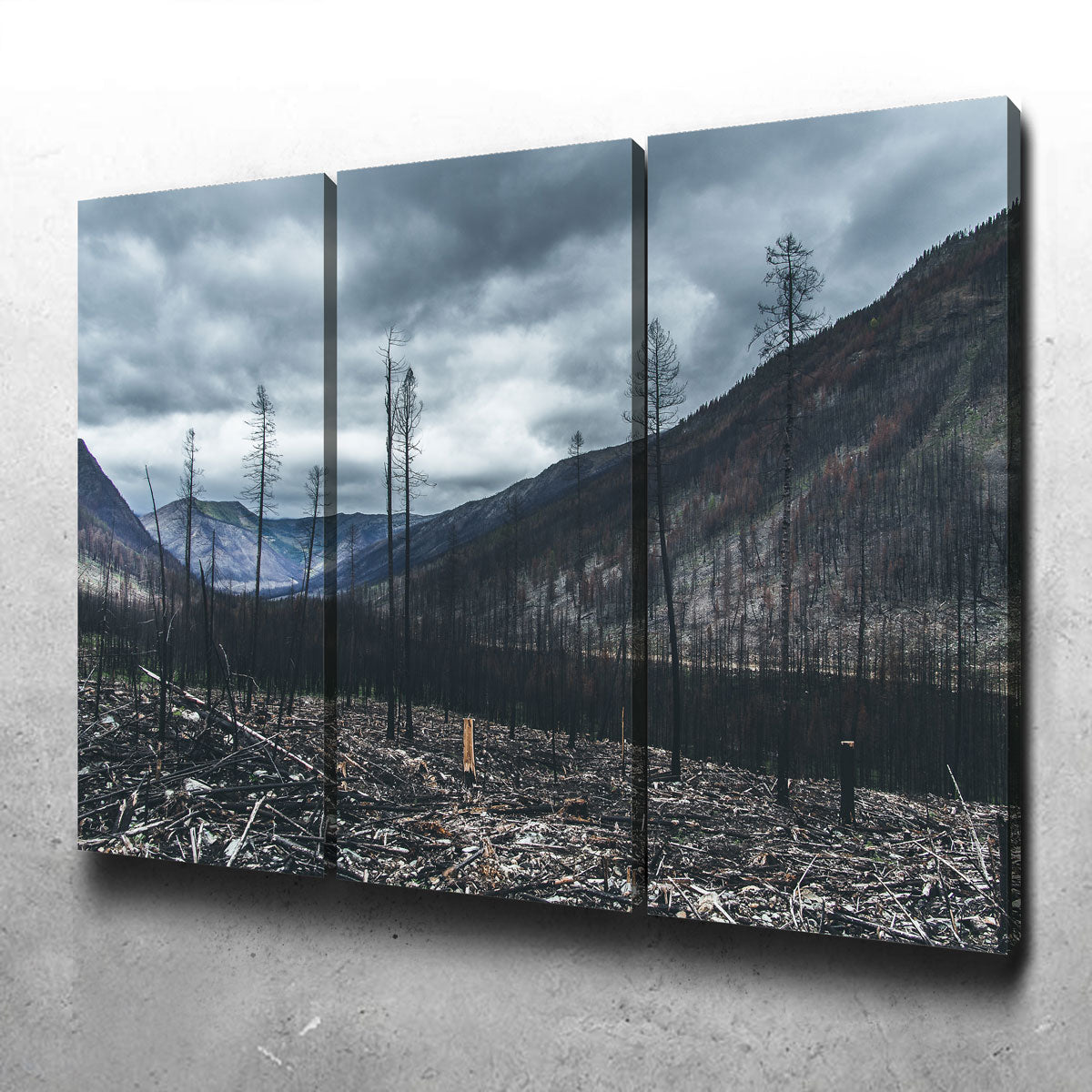 Scorched Trees Wall Art