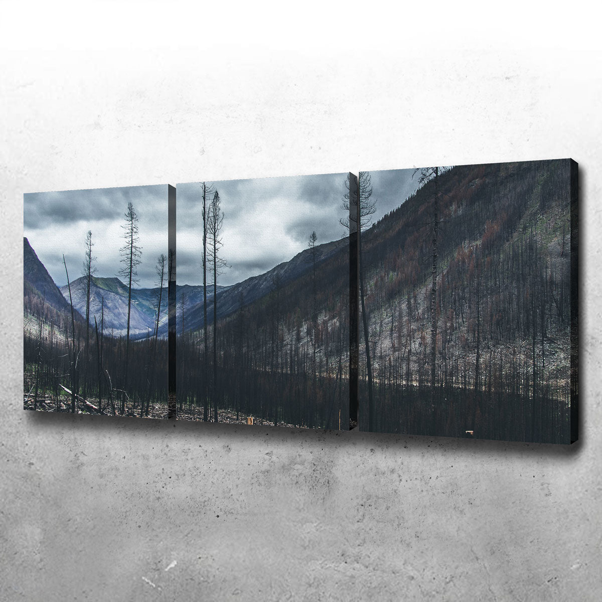 Scorched Trees Wall Art