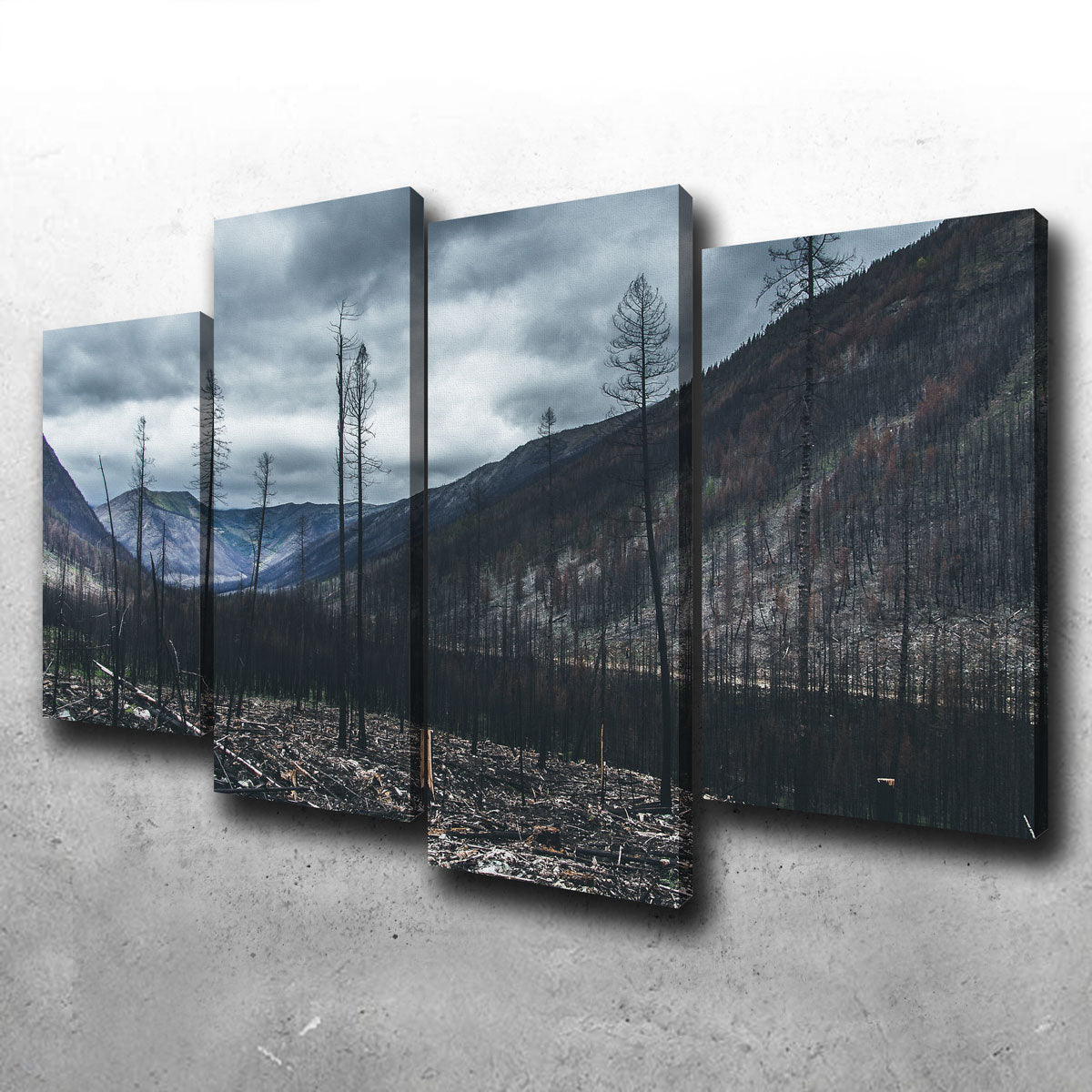 Scorched Trees Wall Art