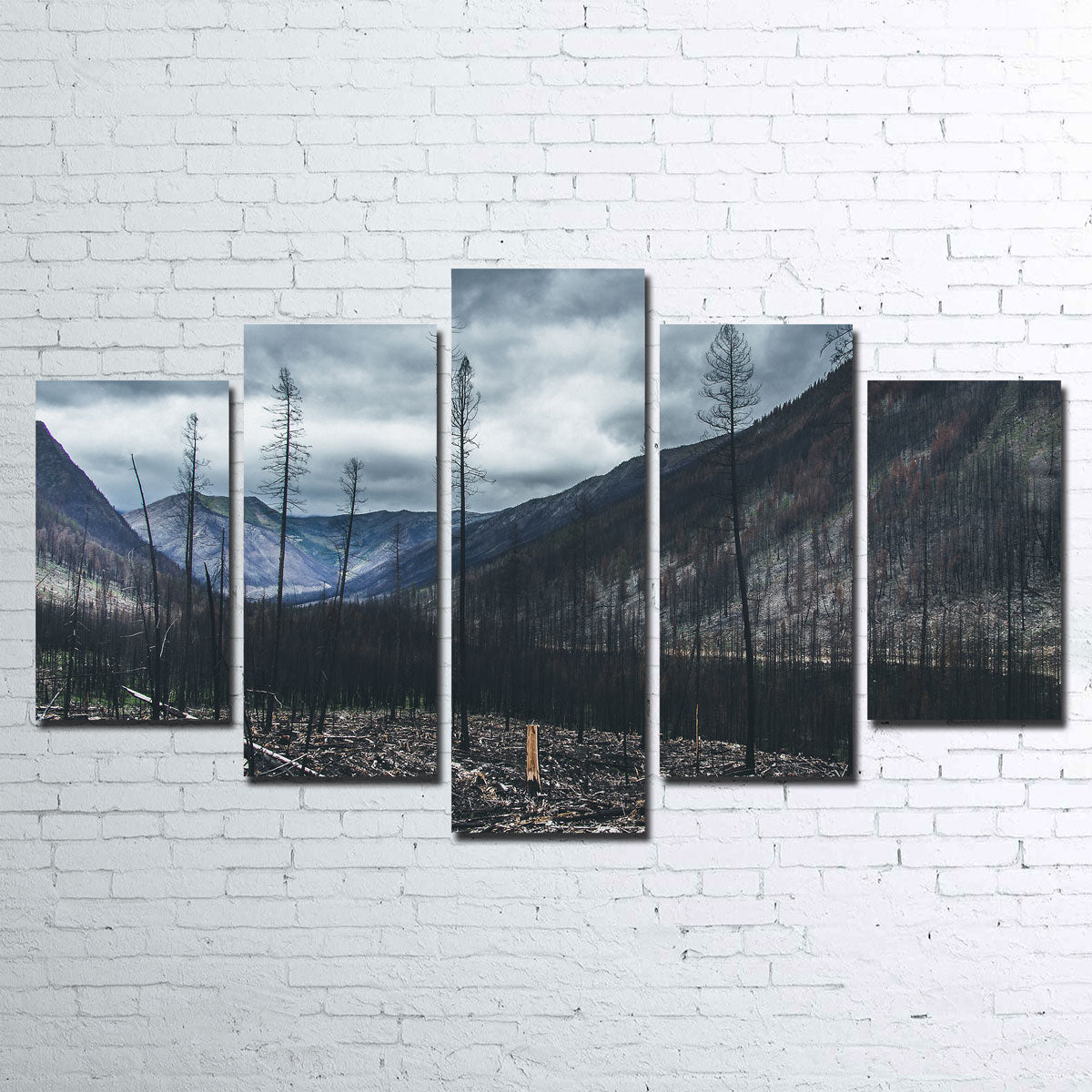 Scorched Trees Wall Art