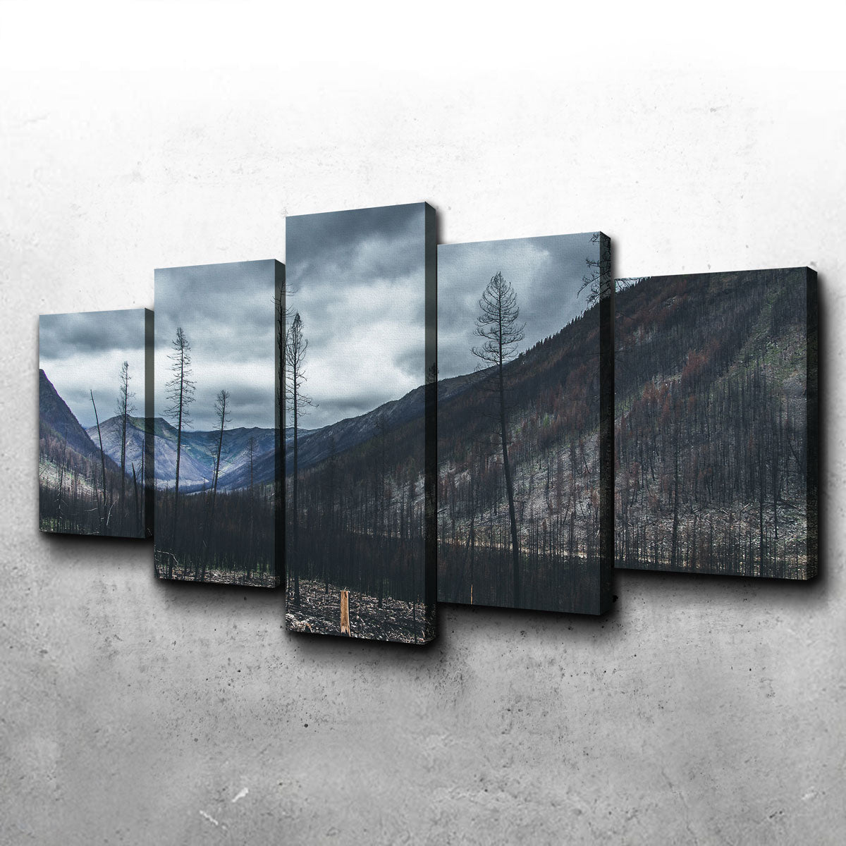 Scorched Trees Wall Art