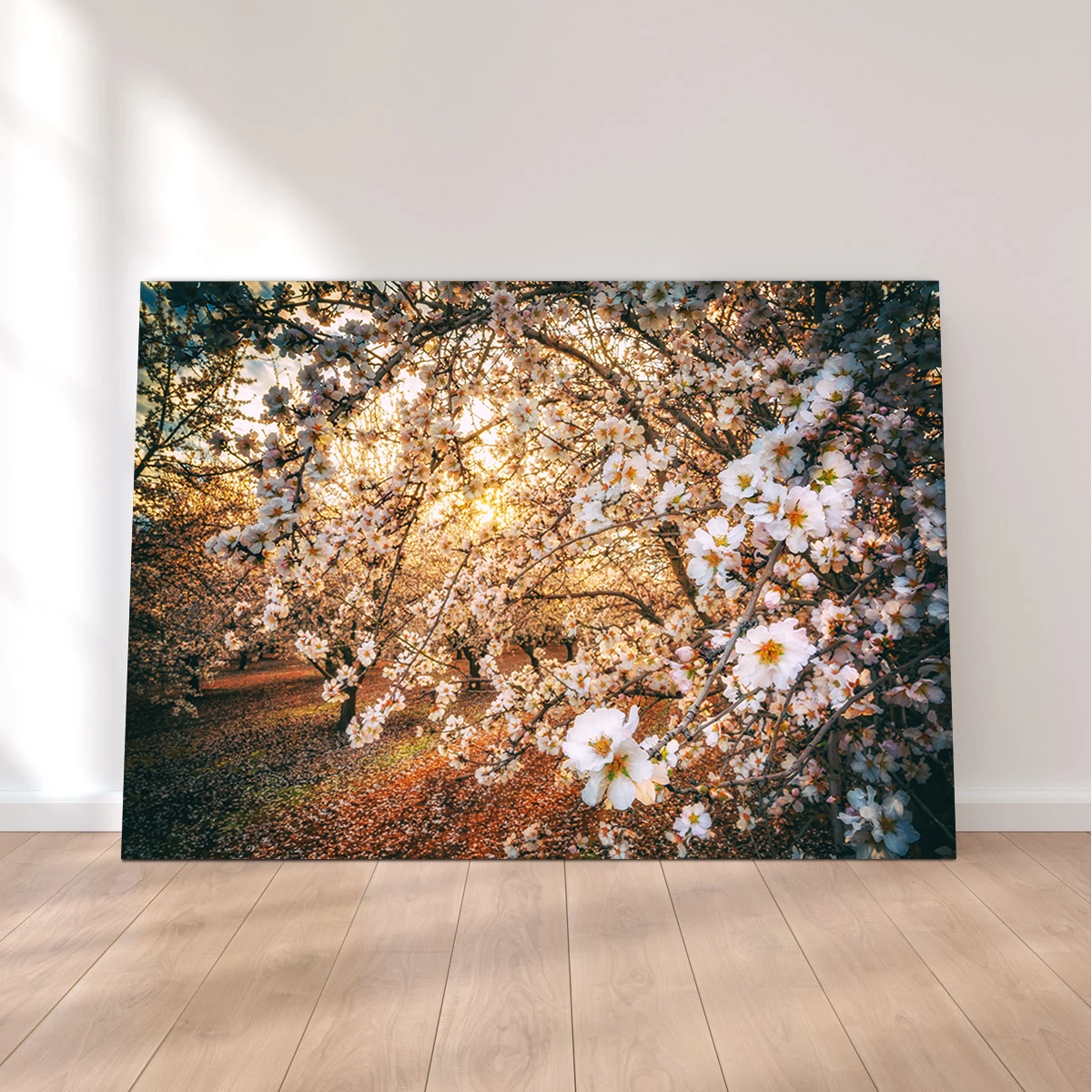 California Blossom Trail Wall Art