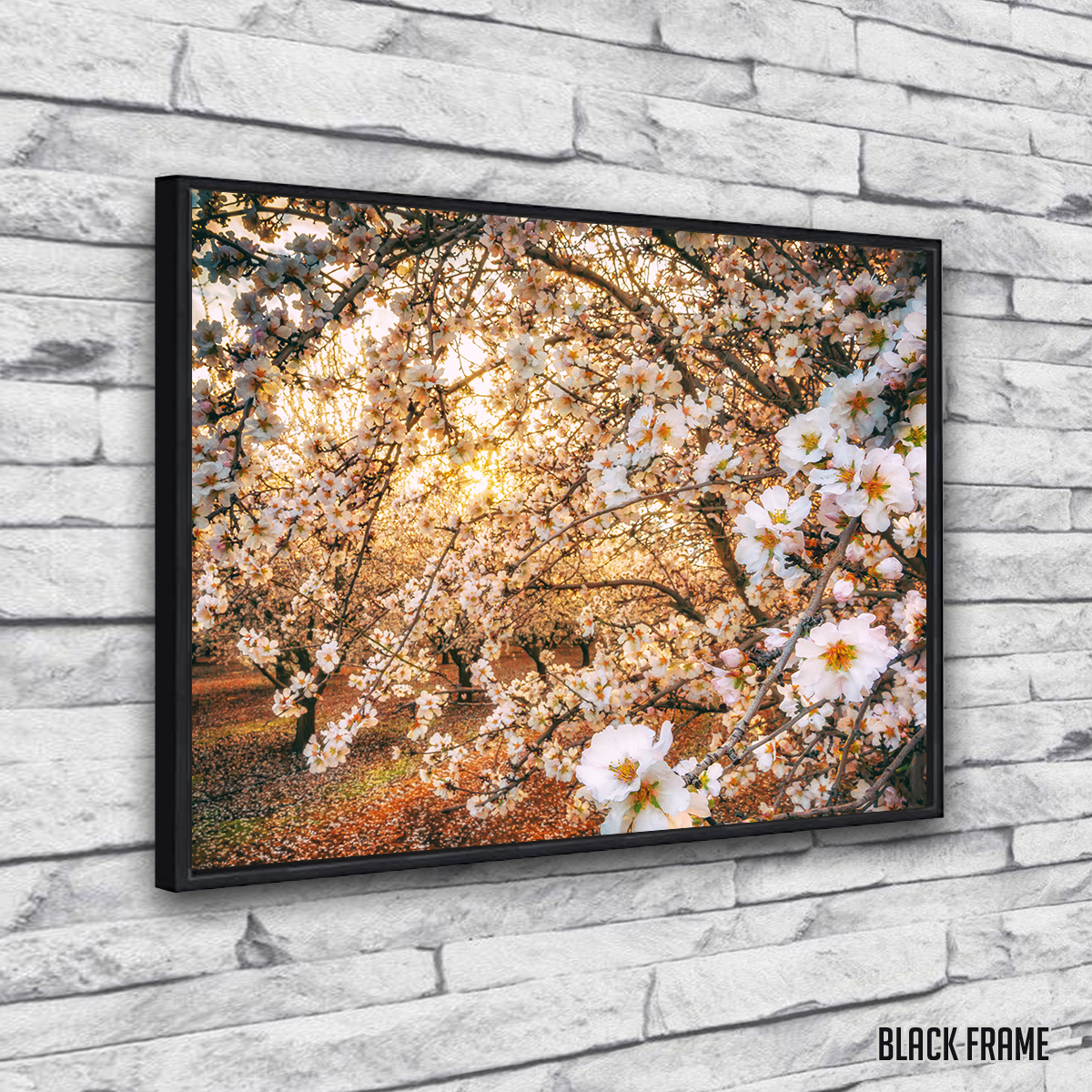 California Blossom Trail Wall Art
