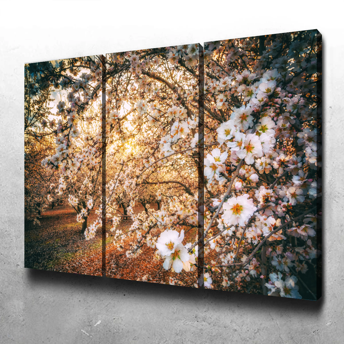 California Blossom Trail Wall Art