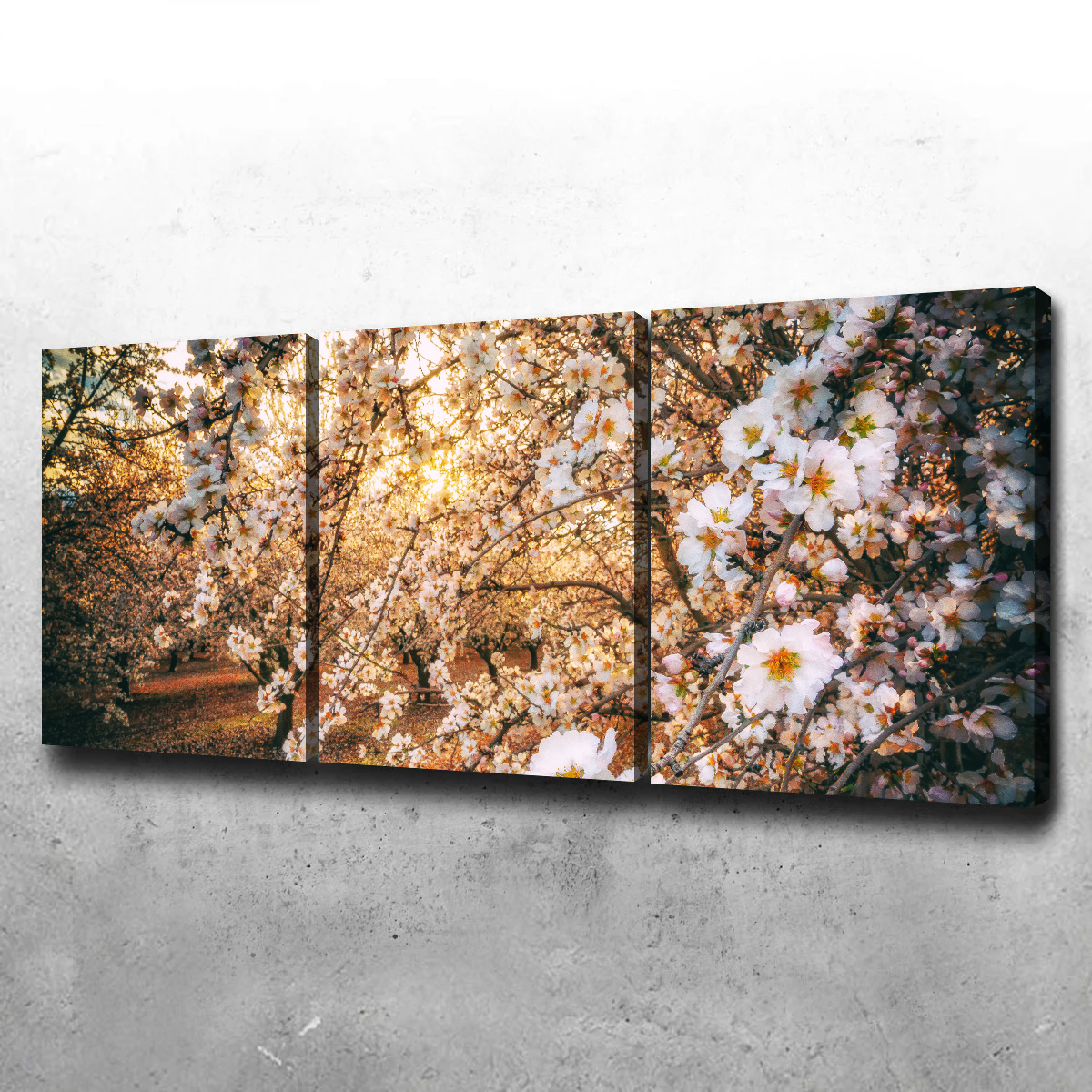 California Blossom Trail Wall Art