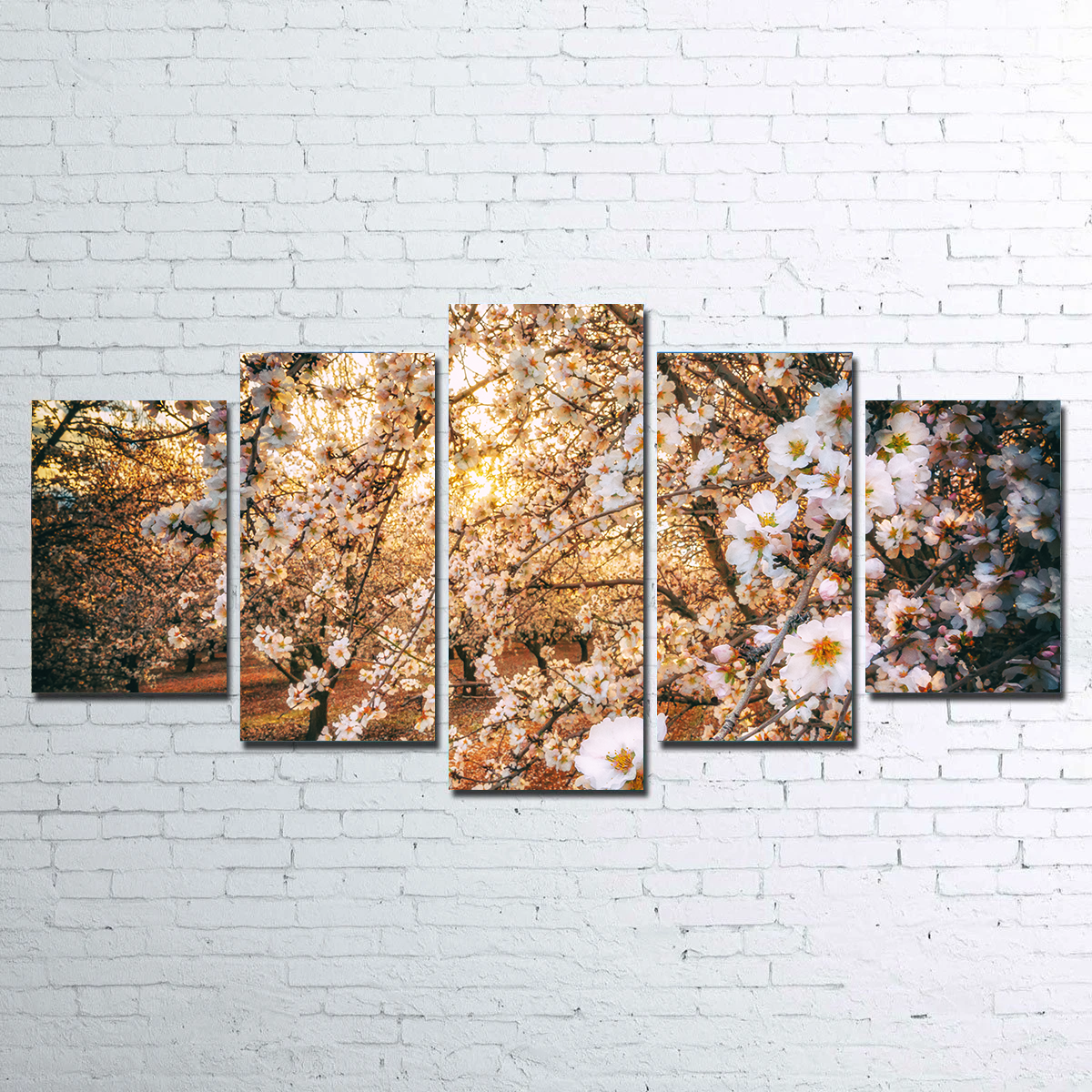 California Blossom Trail Wall Art