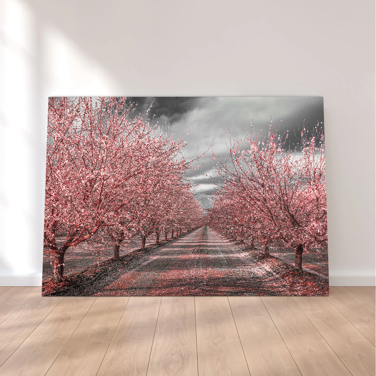 California Pink Blossoms Wall Art