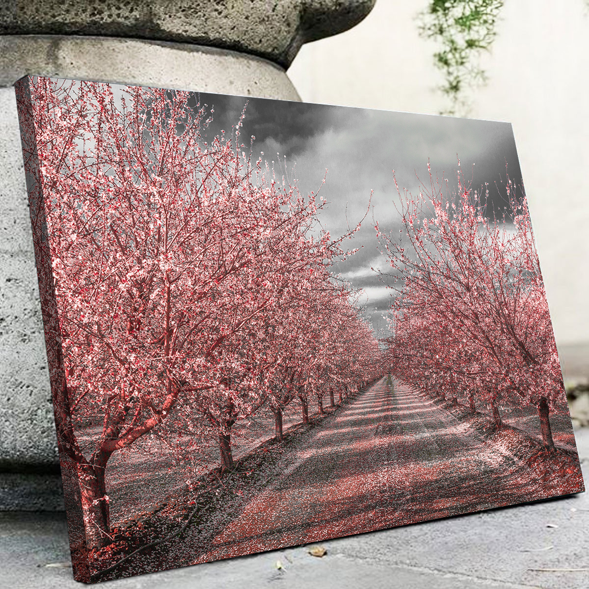 California Pink Blossoms Wall Art
