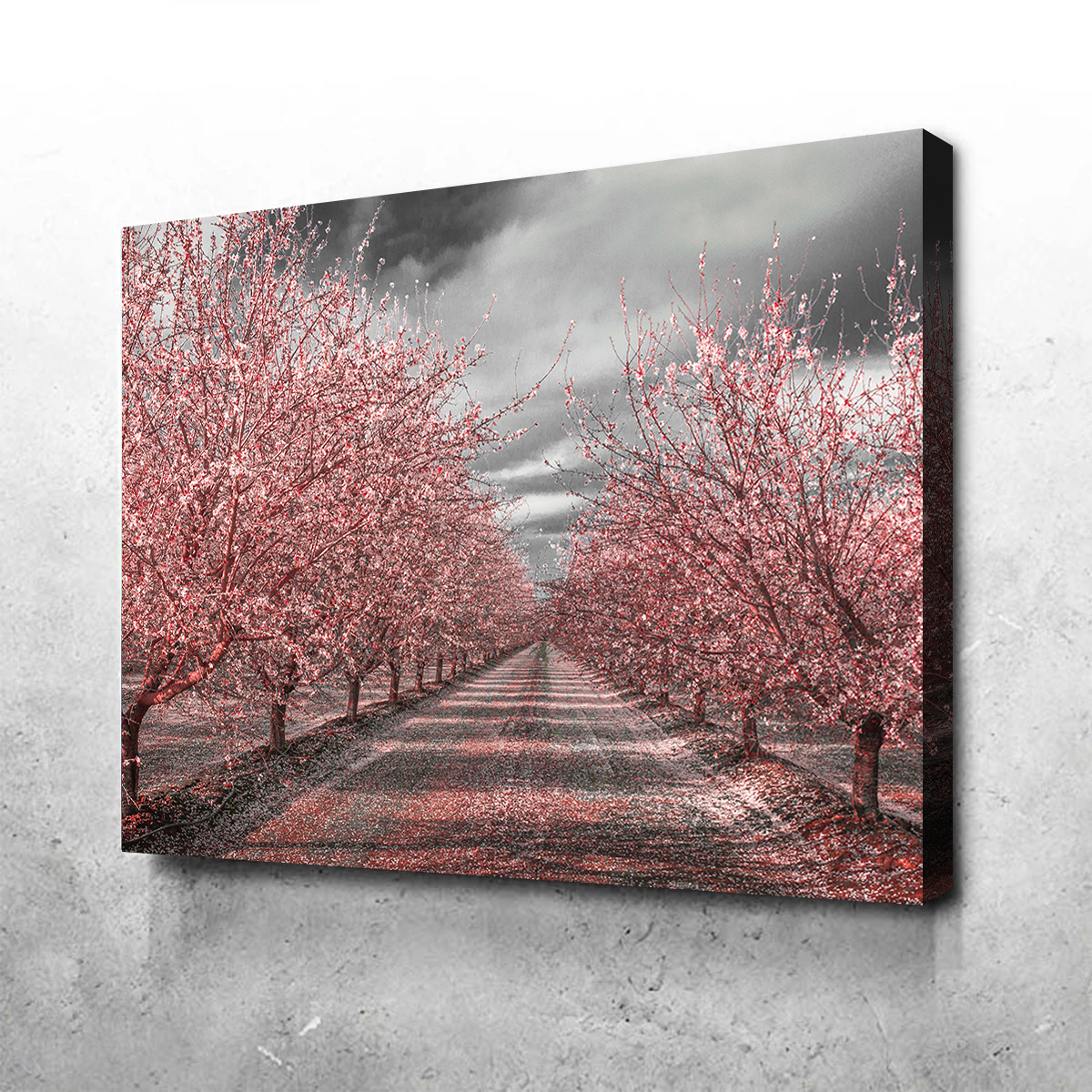 California Pink Blossoms Wall Art