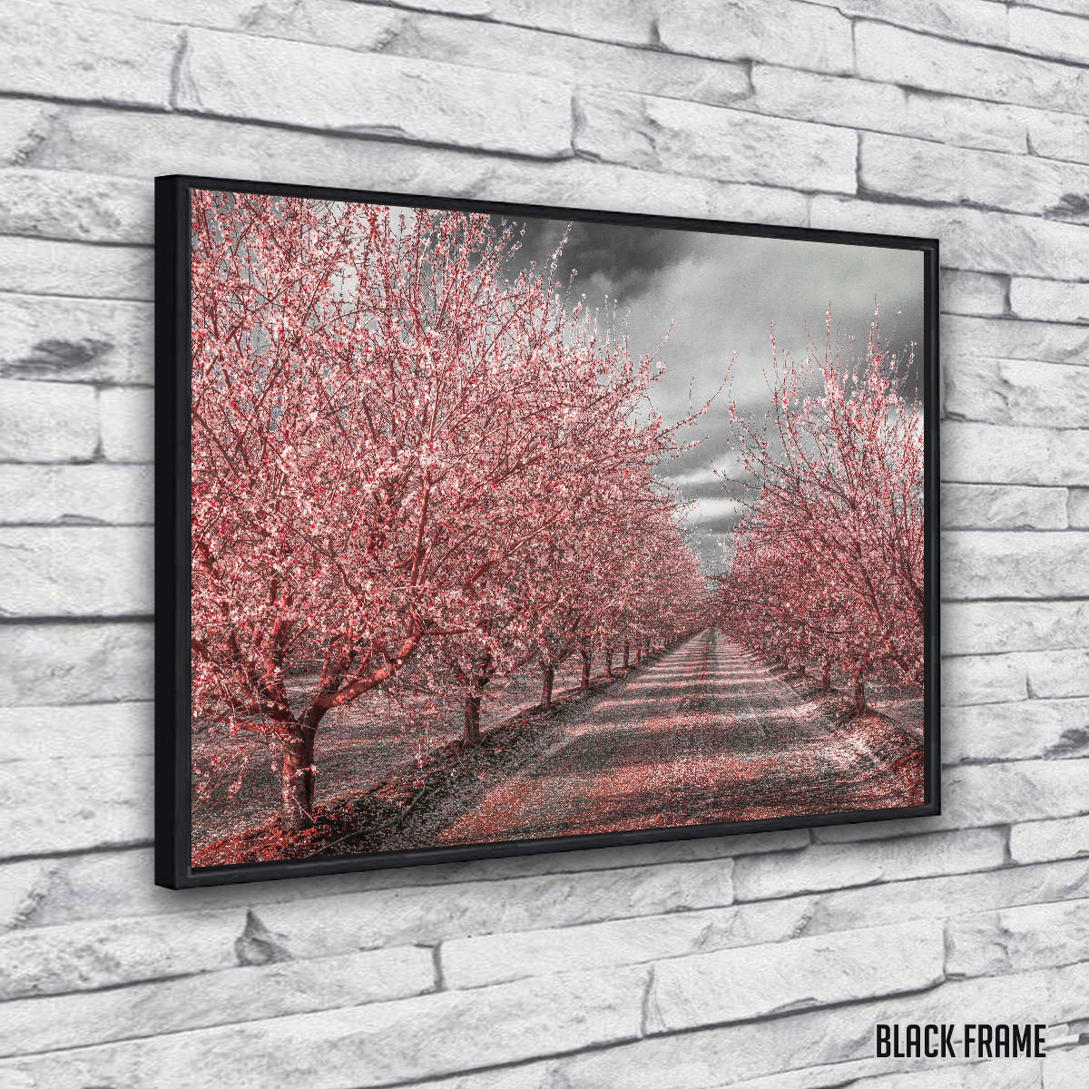 California Pink Blossoms Wall Art