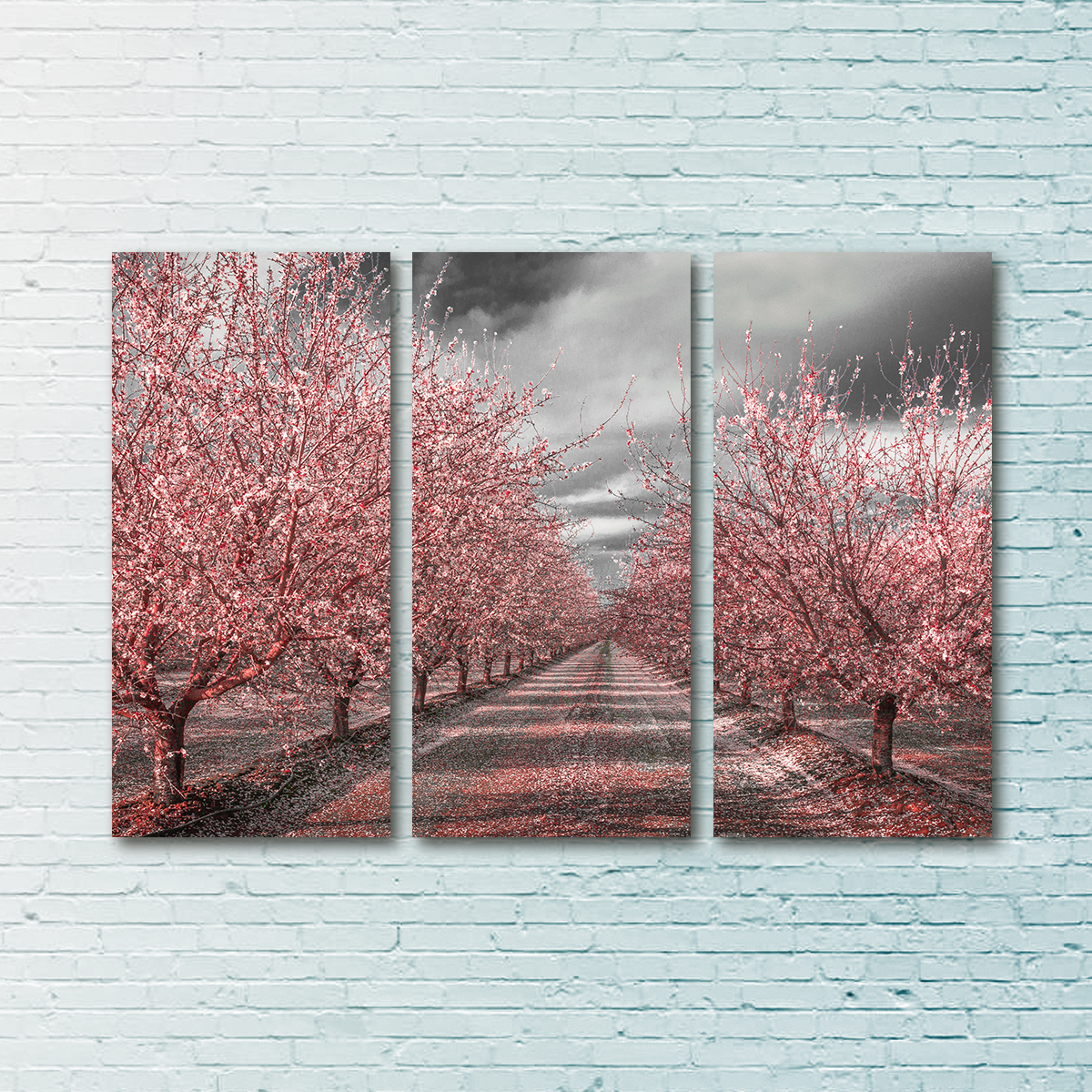 California Pink Blossoms Wall Art