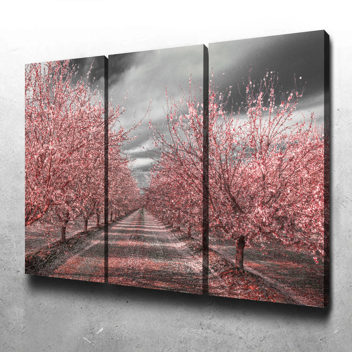 California Pink Blossoms Wall Art