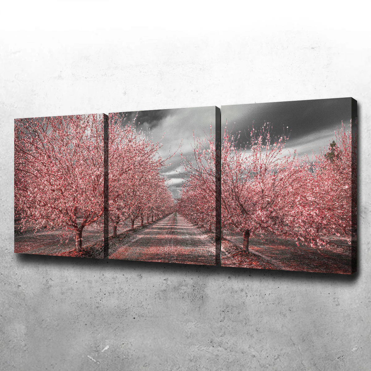 California Pink Blossoms Wall Art