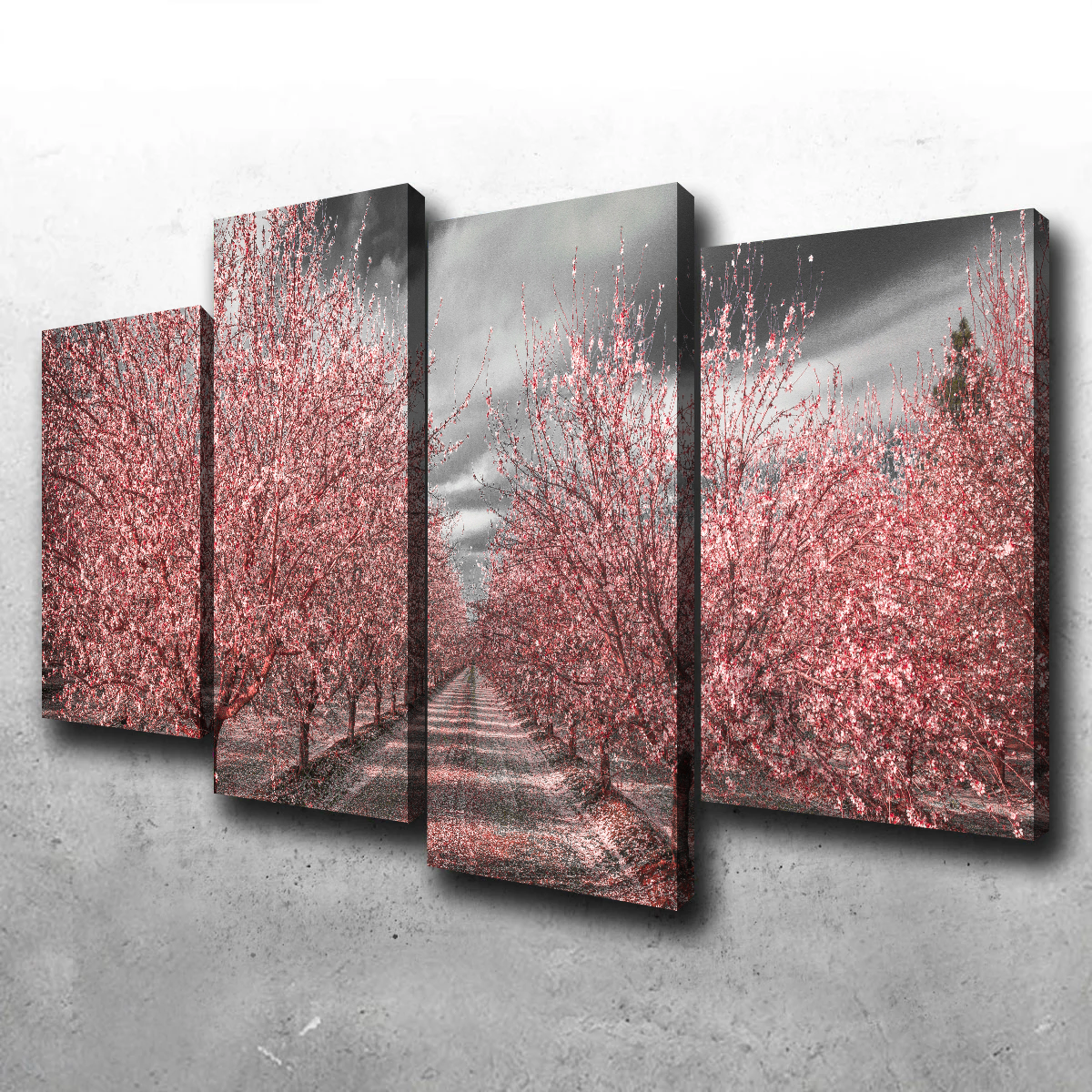 California Pink Blossoms Wall Art