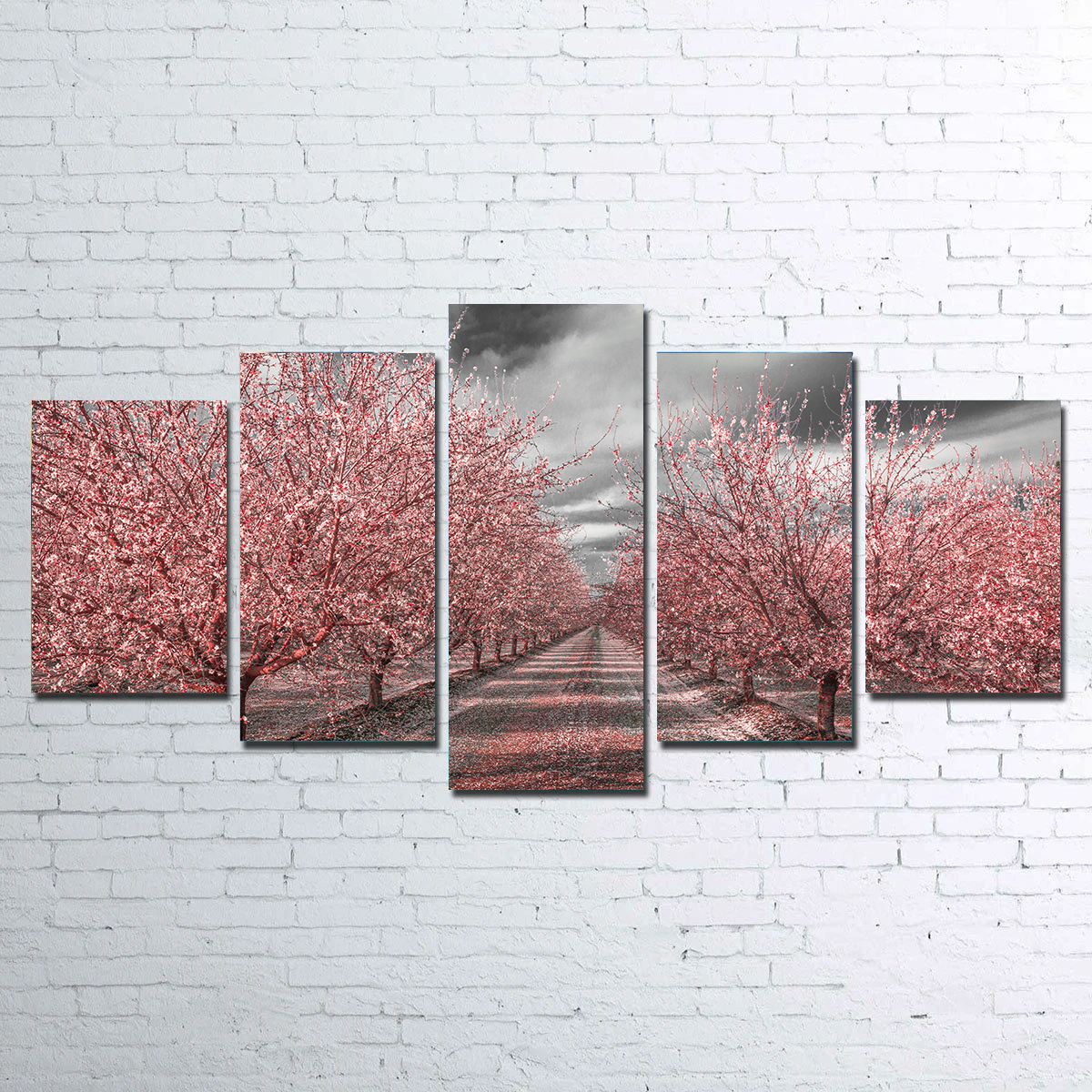 California Pink Blossoms Wall Art