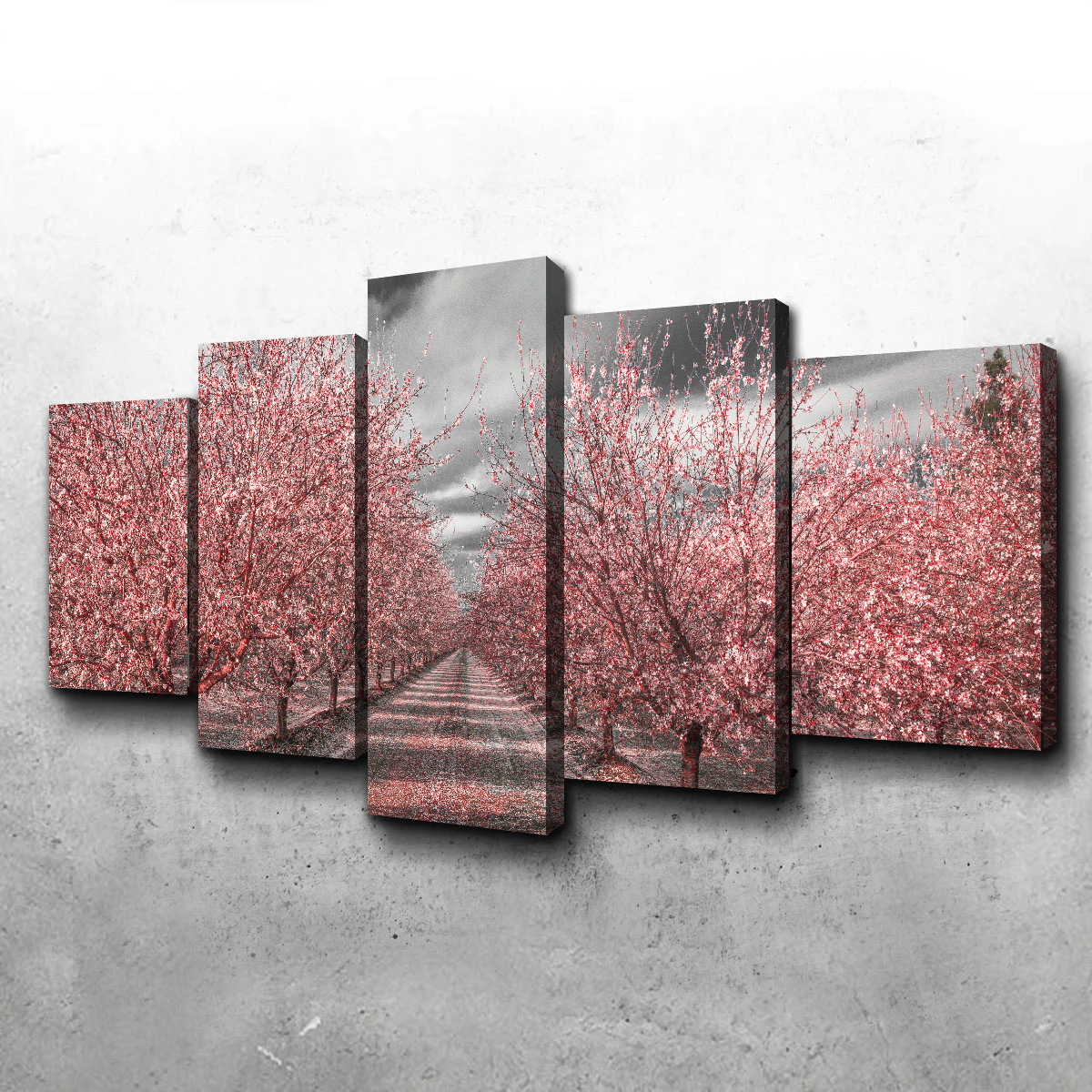 California Pink Blossoms Wall Art