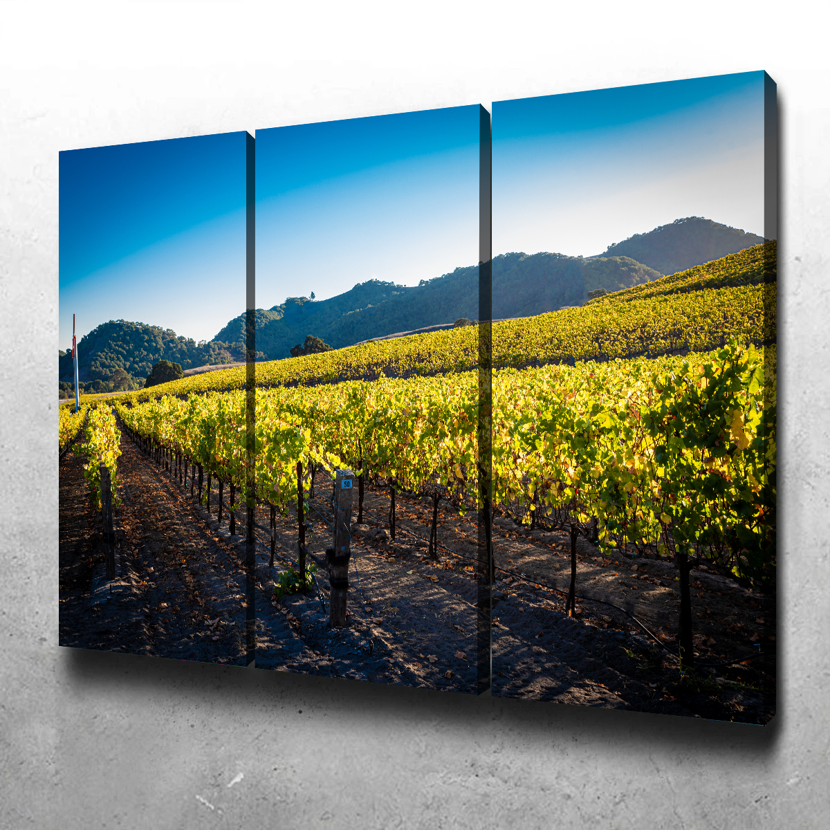 Central California Vineyard Wall Art