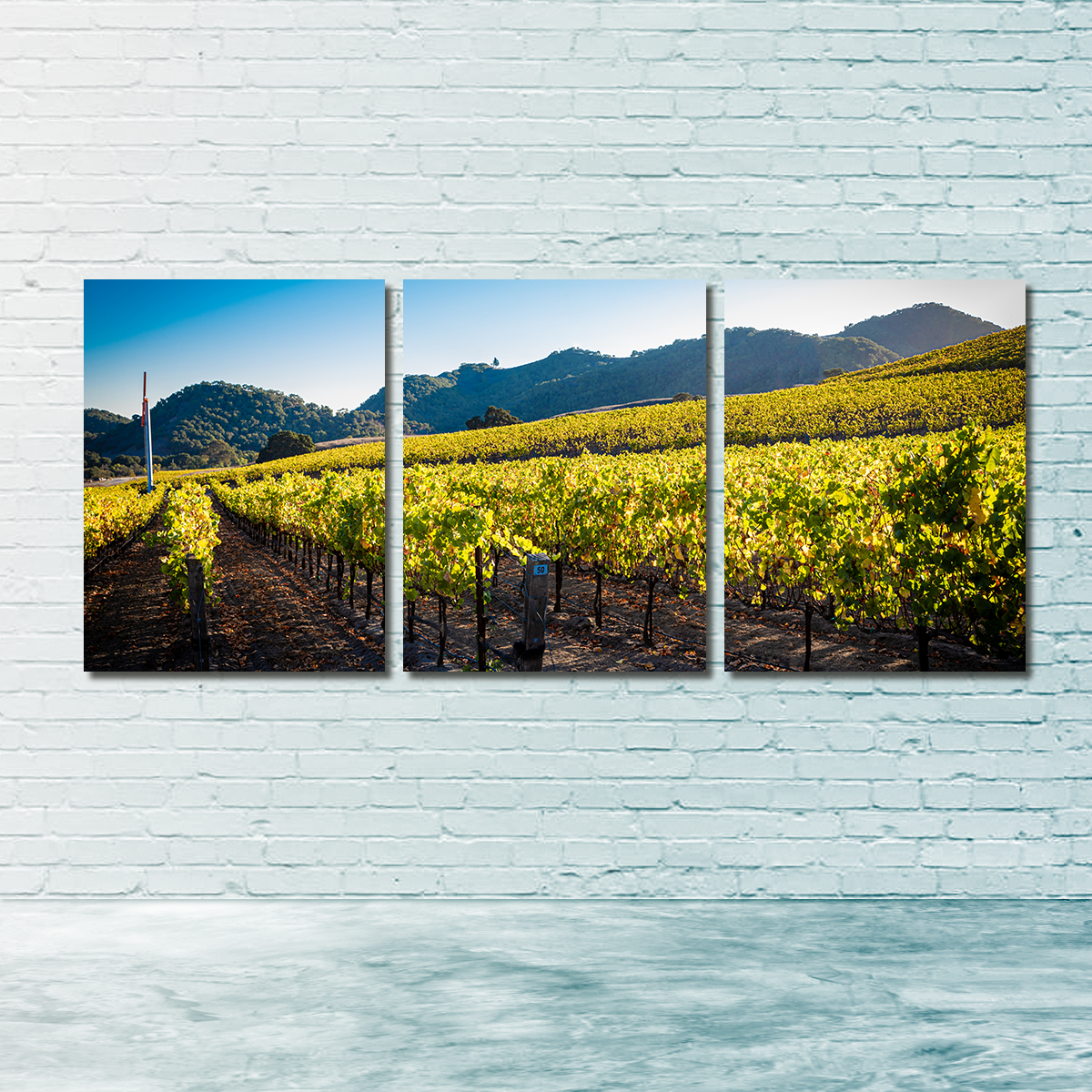 Central California Vineyard Wall Art