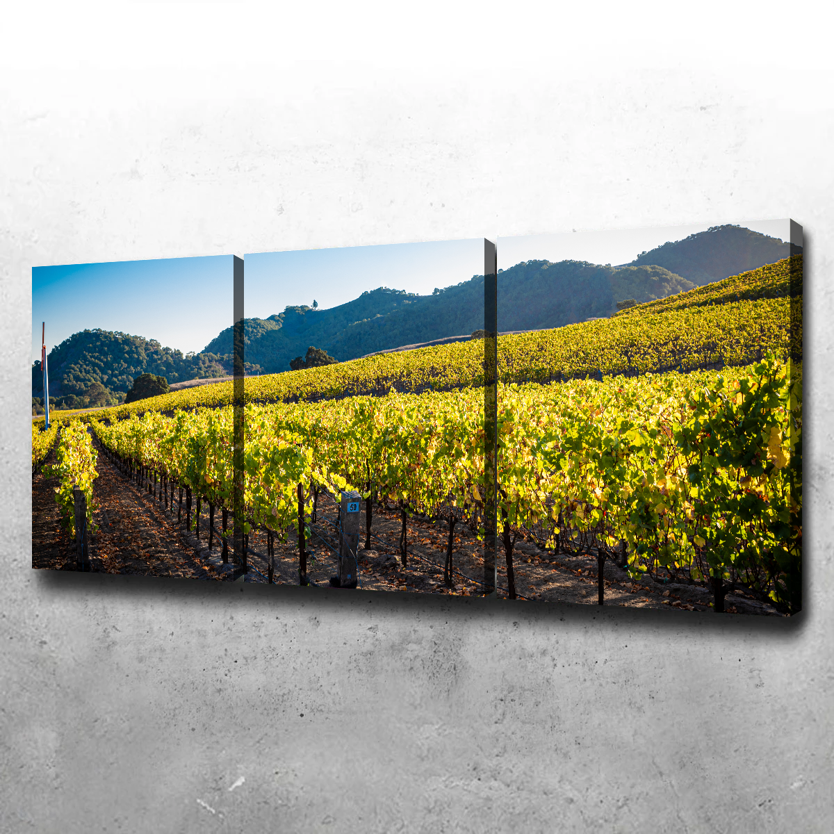 Central California Vineyard Wall Art