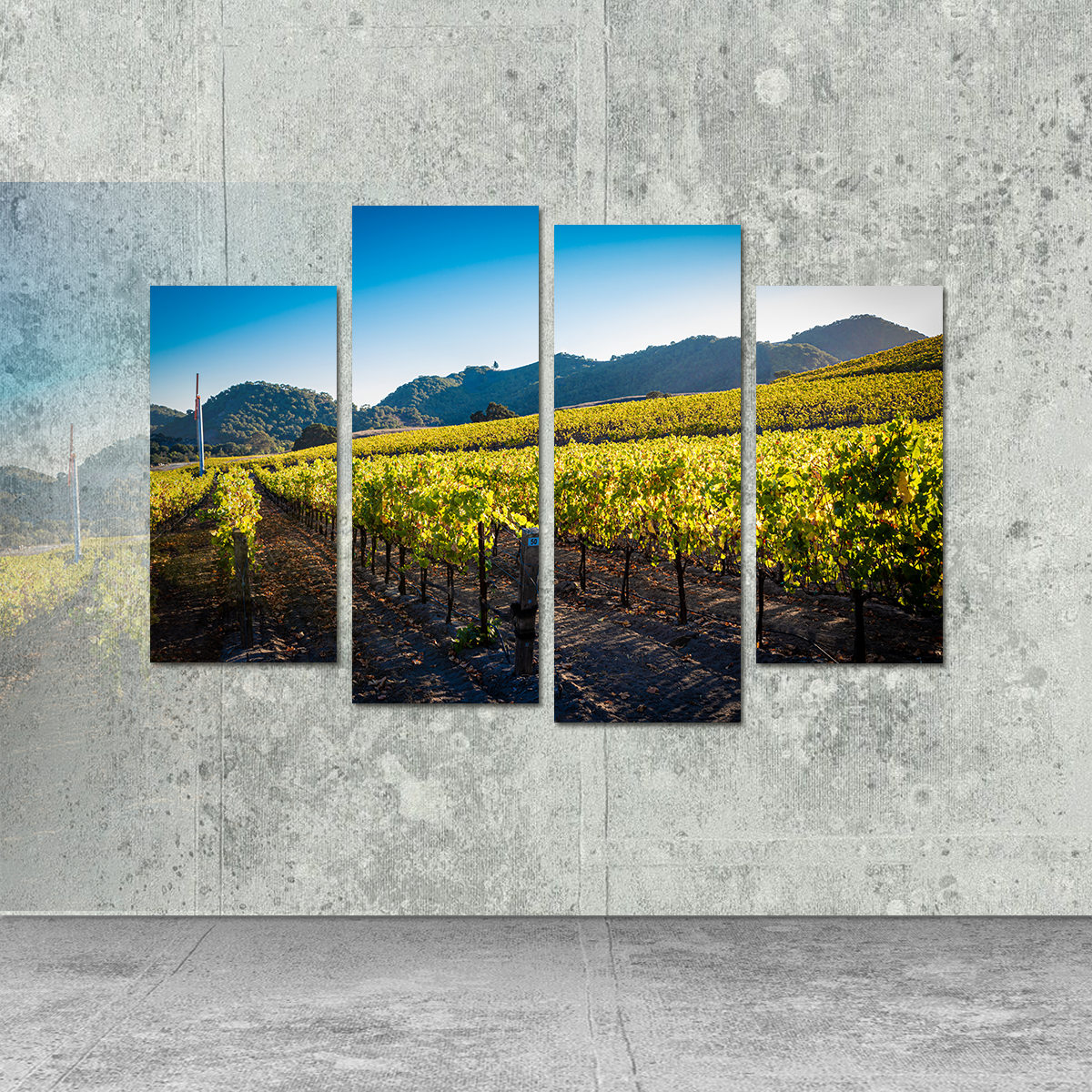 Central California Vineyard Wall Art