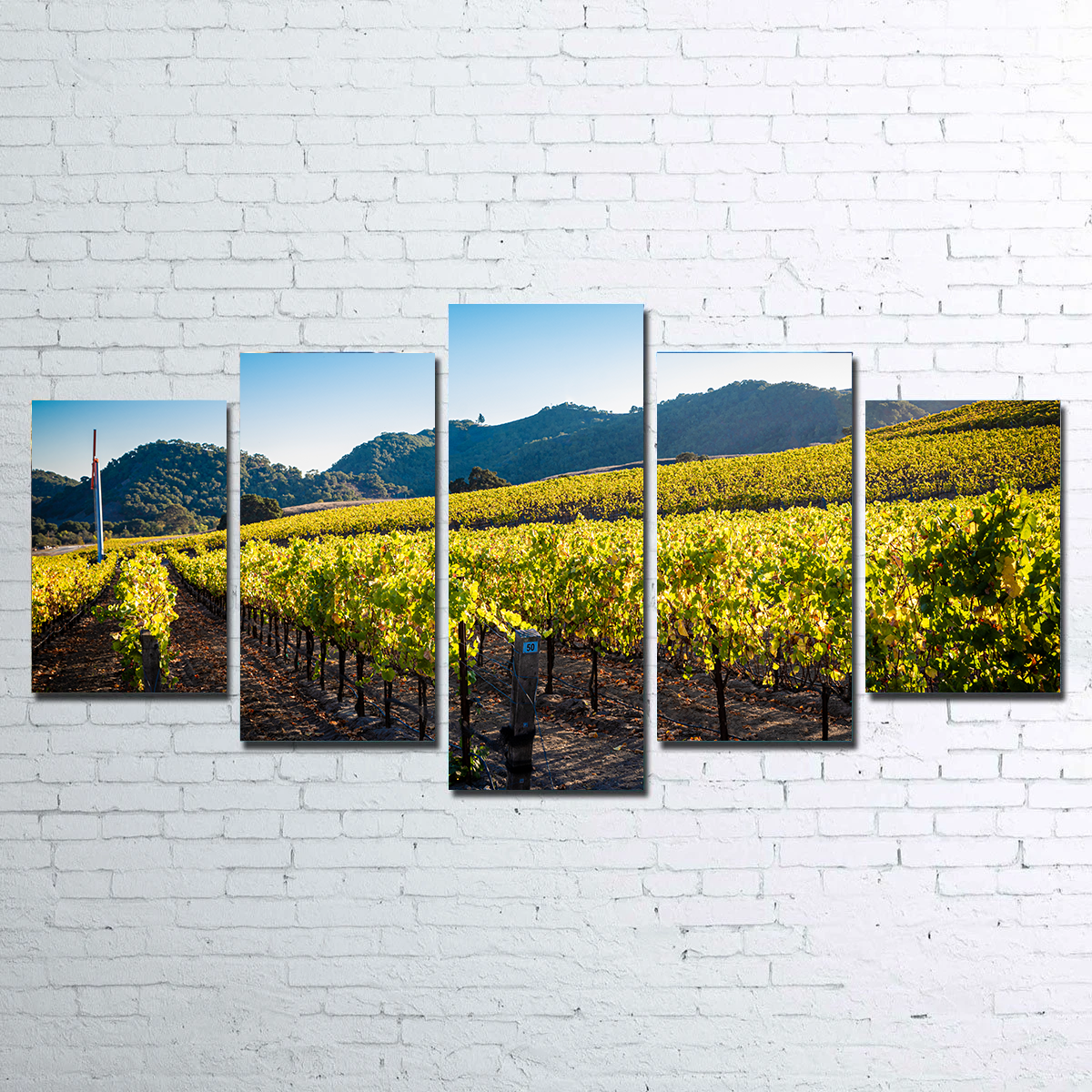 Central California Vineyard Wall Art