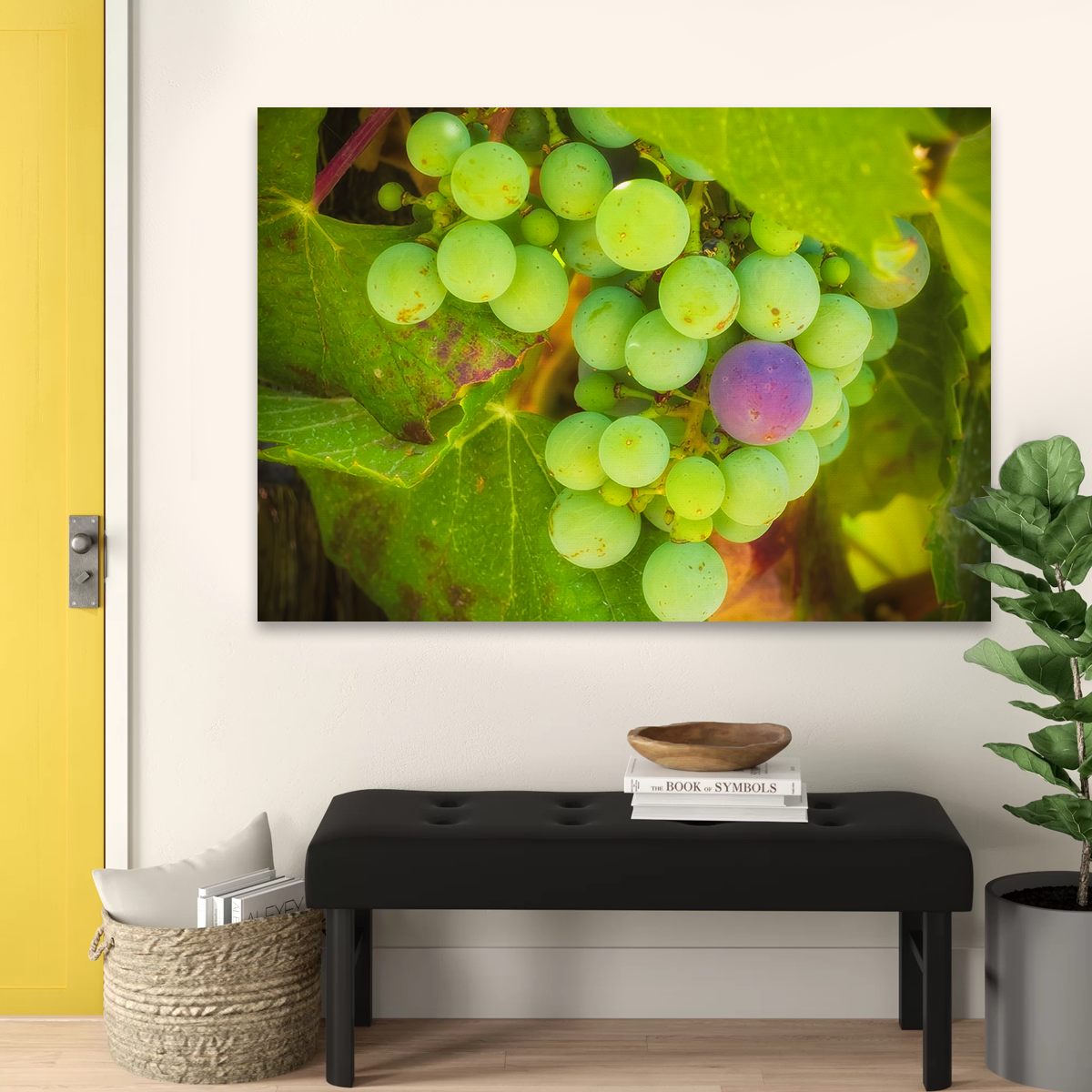 Green Purple Grapes Temecula Valley Wall Art