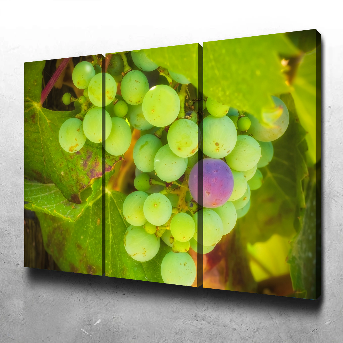 Green Purple Grapes Temecula Valley Wall Art