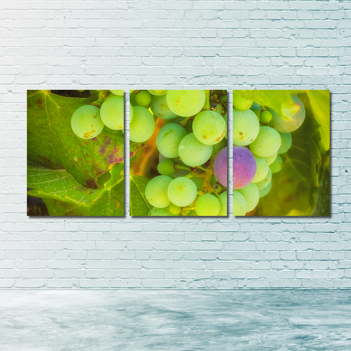 Green Purple Grapes Temecula Valley Wall Art