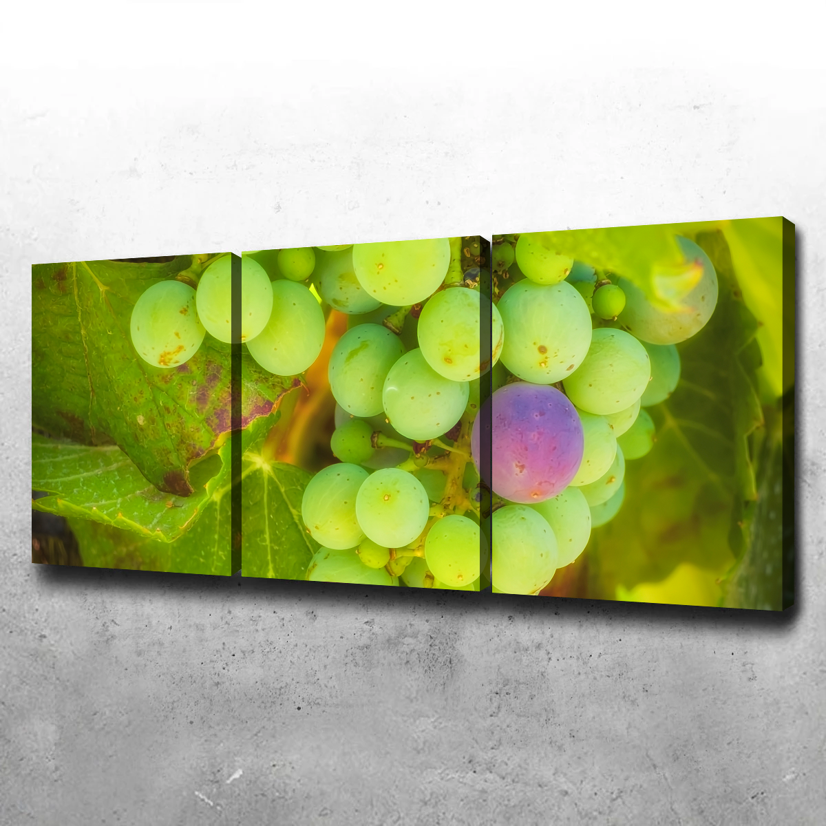 Green Purple Grapes Temecula Valley Wall Art