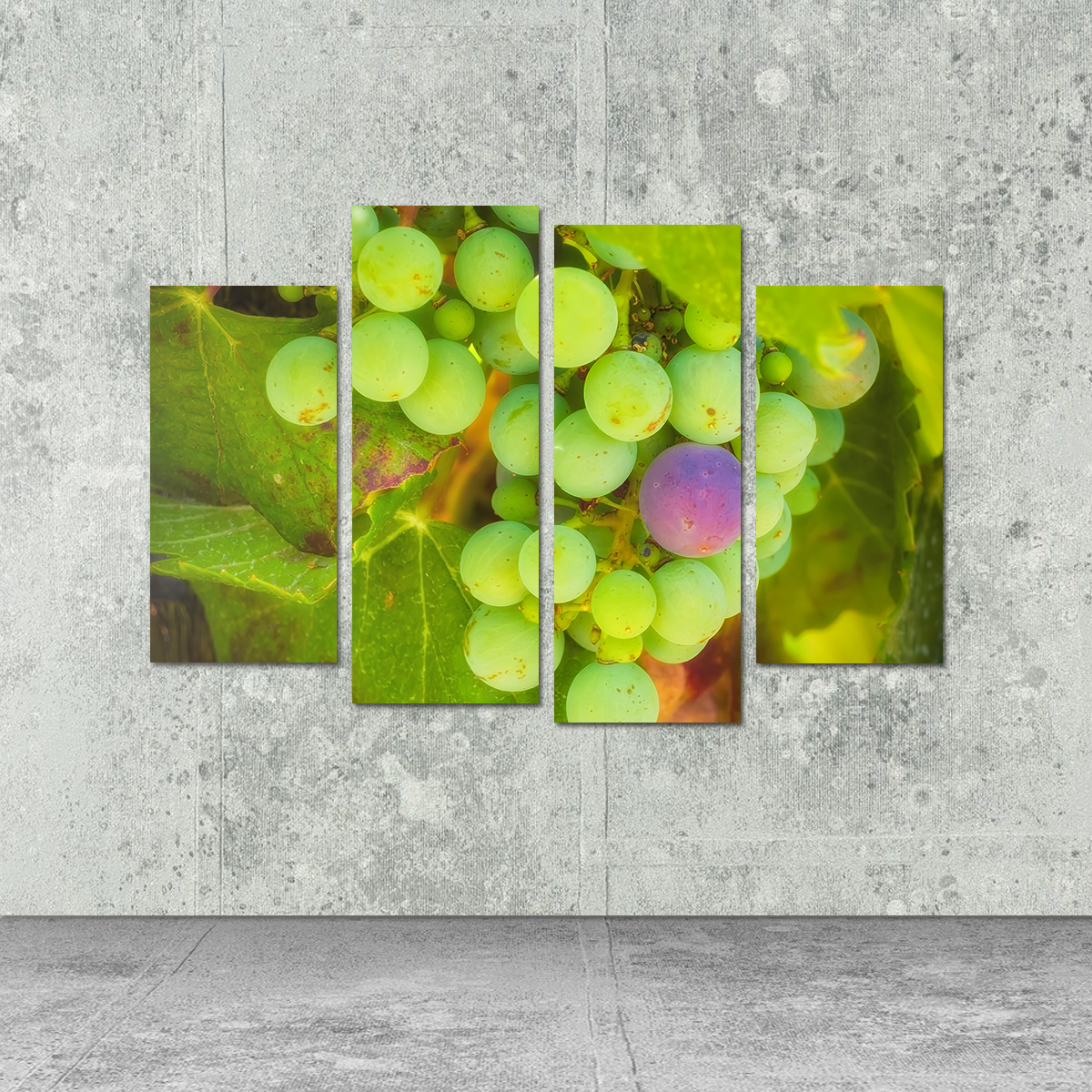 Green Purple Grapes Temecula Valley Wall Art
