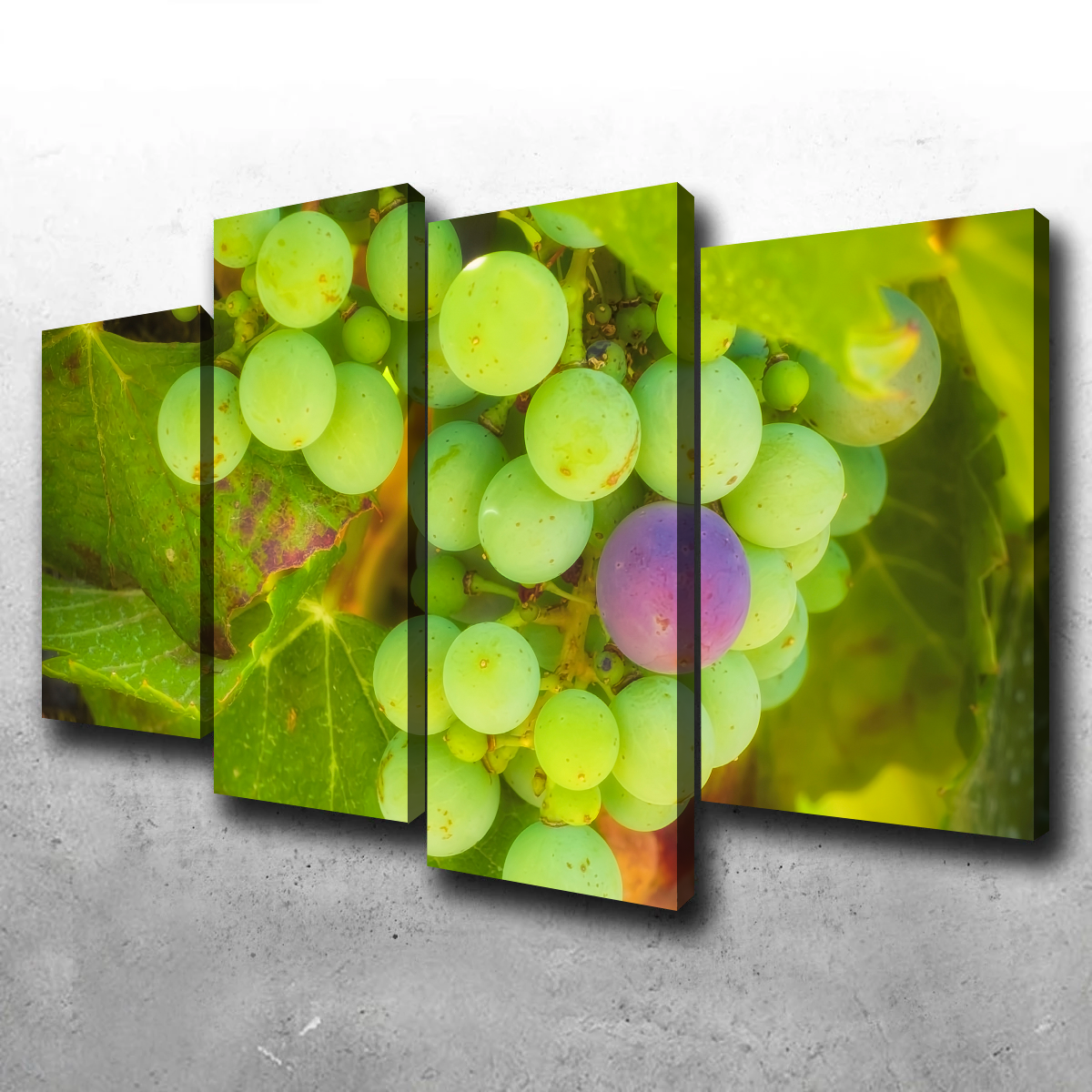 Green Purple Grapes Temecula Valley Wall Art