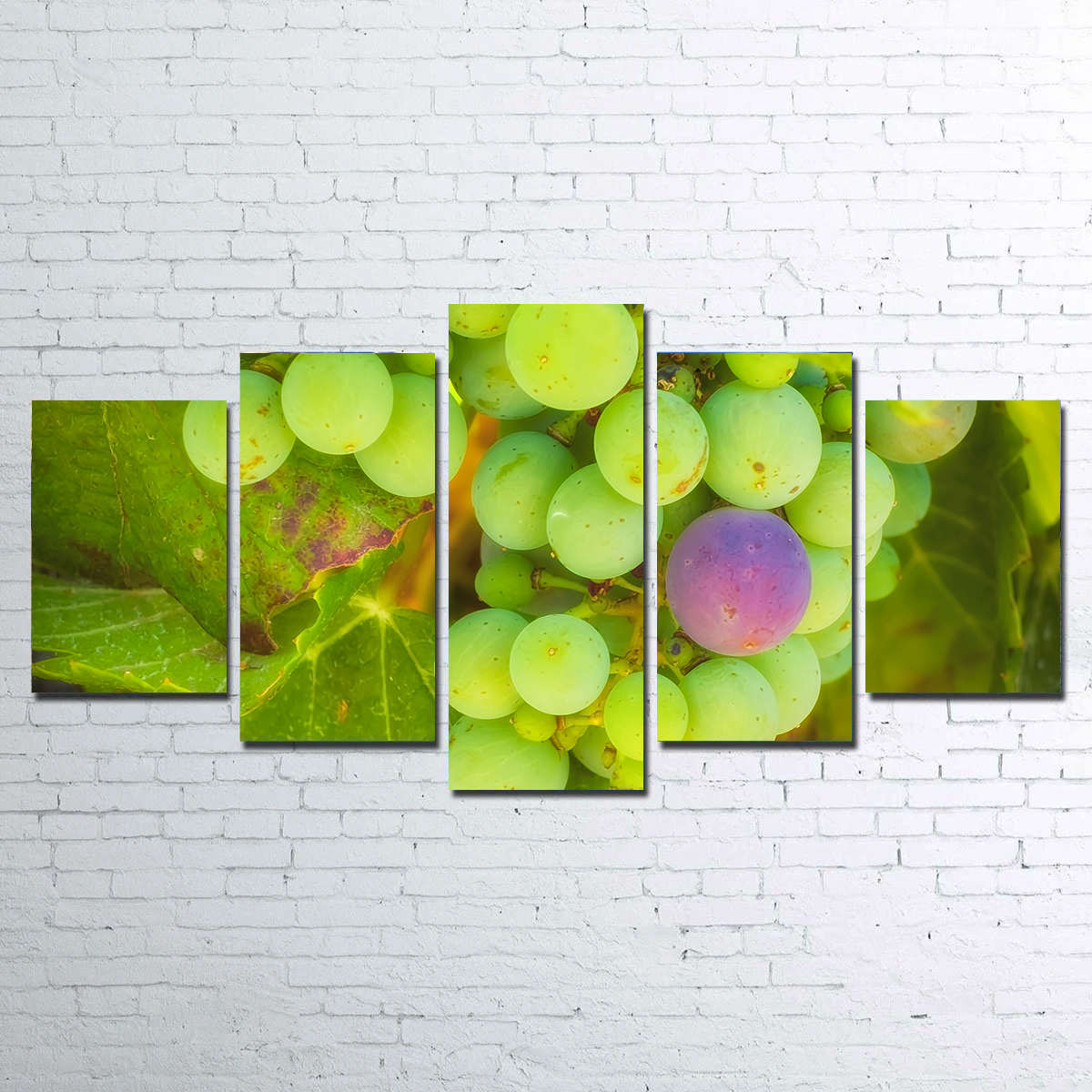 Green Purple Grapes Temecula Valley Wall Art