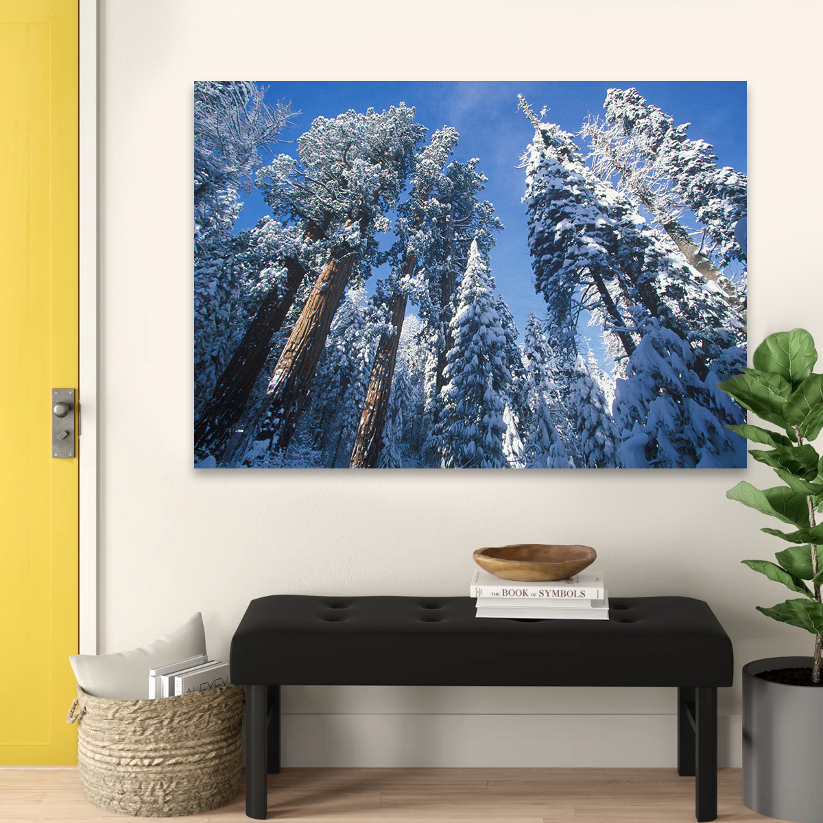 Redwoods Covered in Snow Wall Art