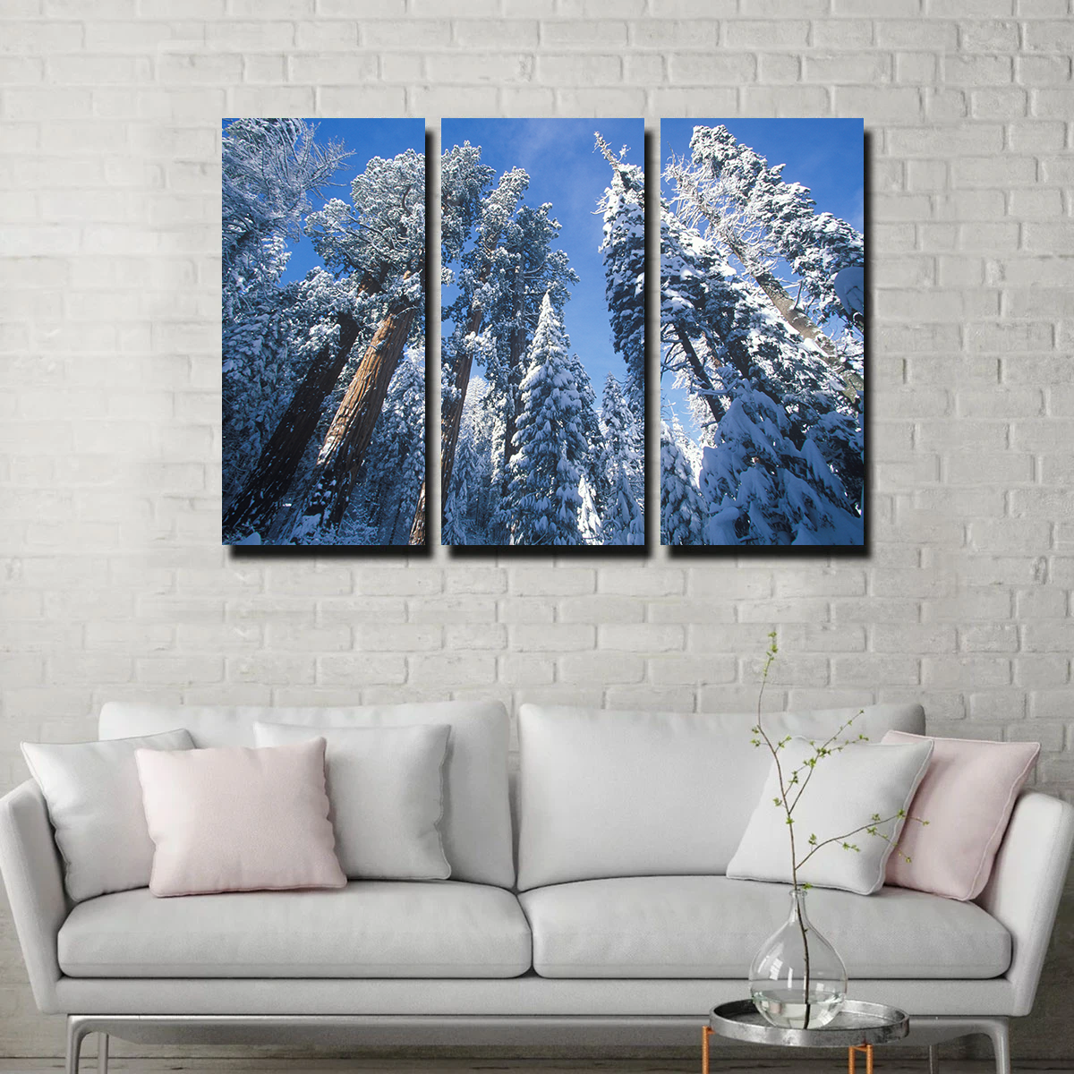 Redwoods Covered in Snow Wall Art