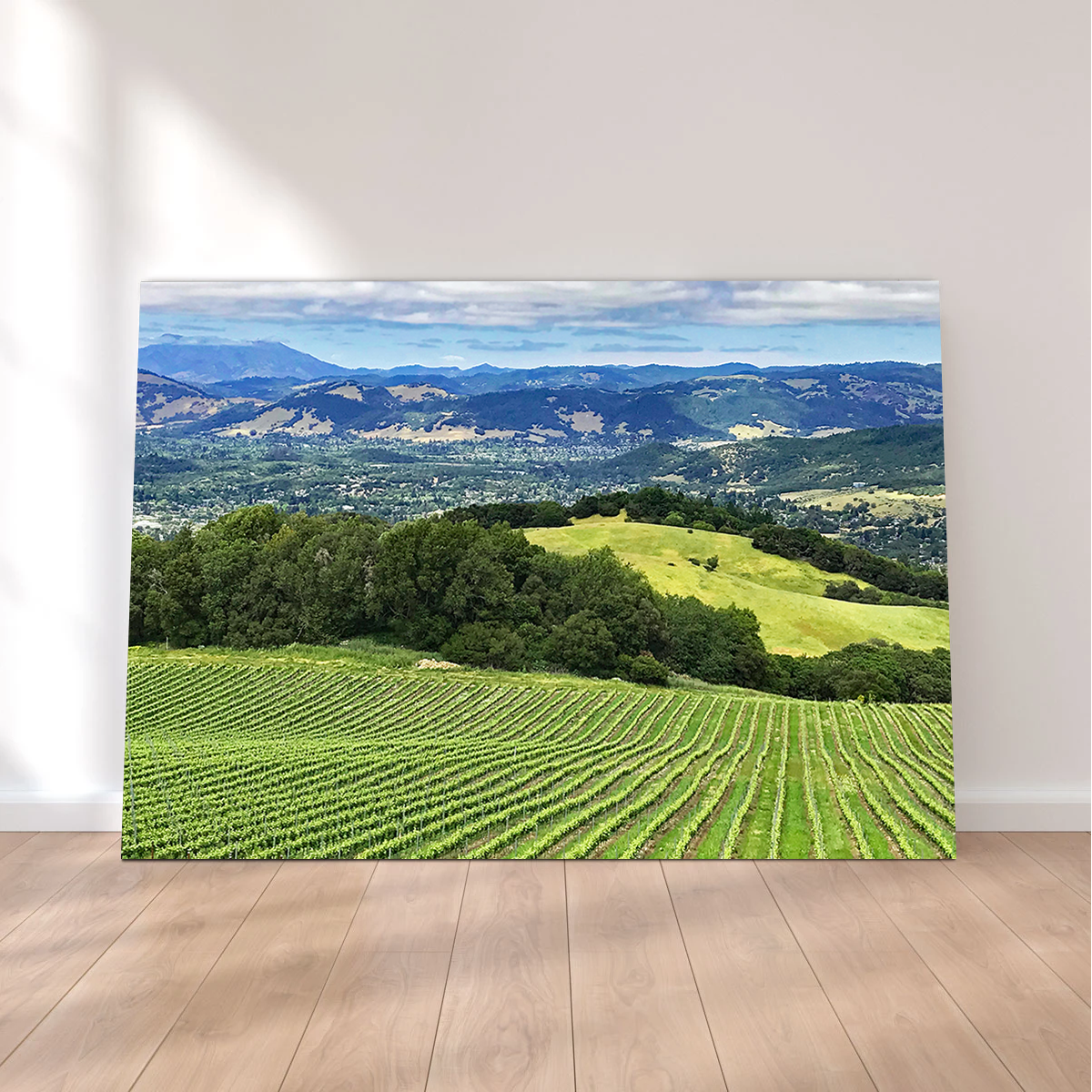 Rolling Hills and Vineyards of Sonoma County Wall Art