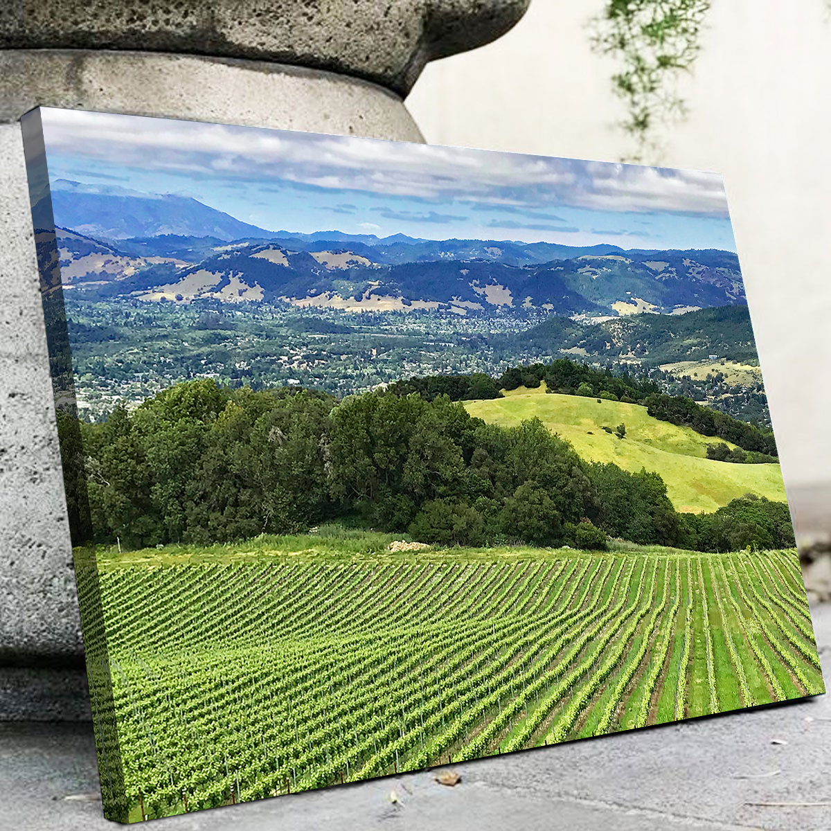 Rolling Hills and Vineyards of Sonoma County Wall Art