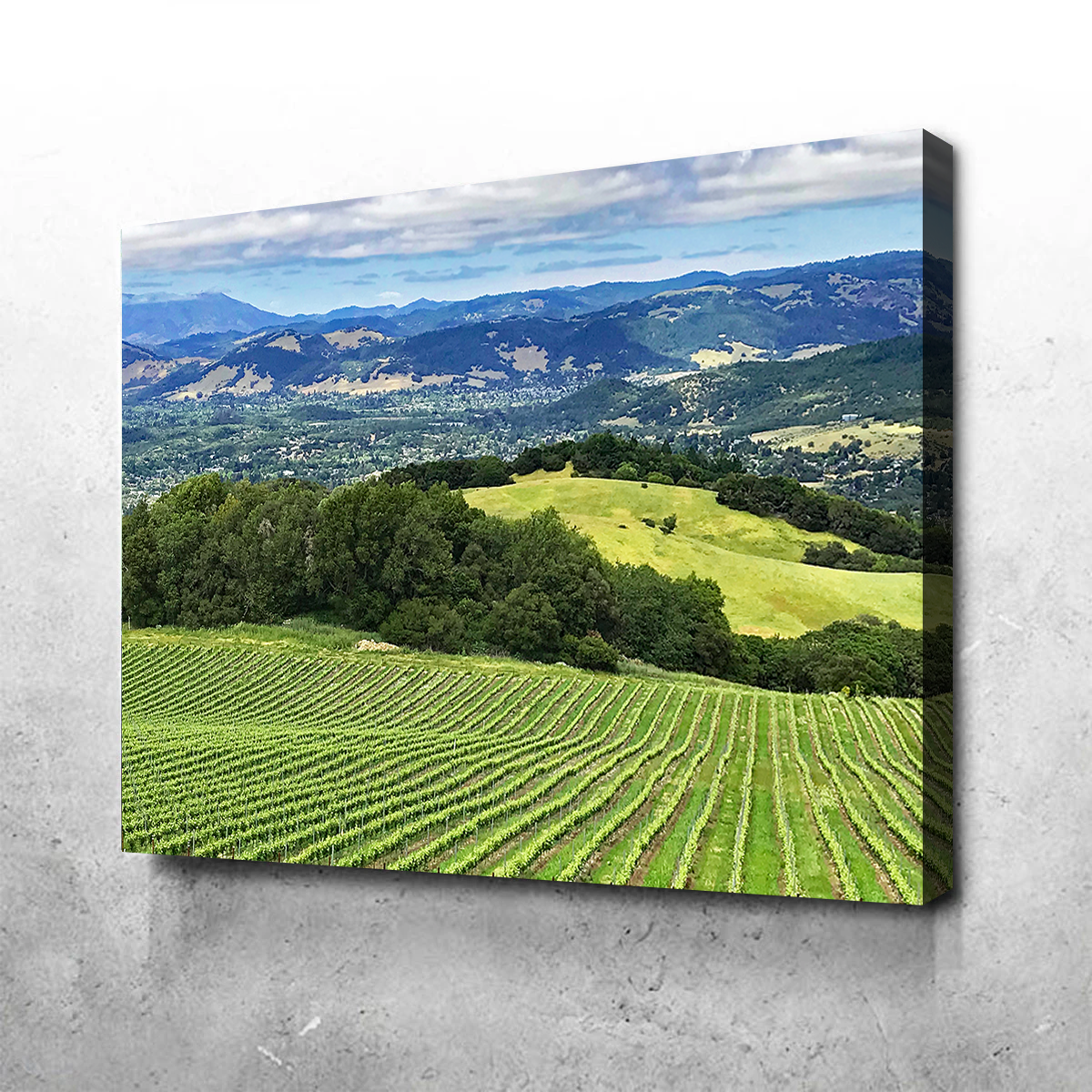 Rolling Hills and Vineyards of Sonoma County Wall Art