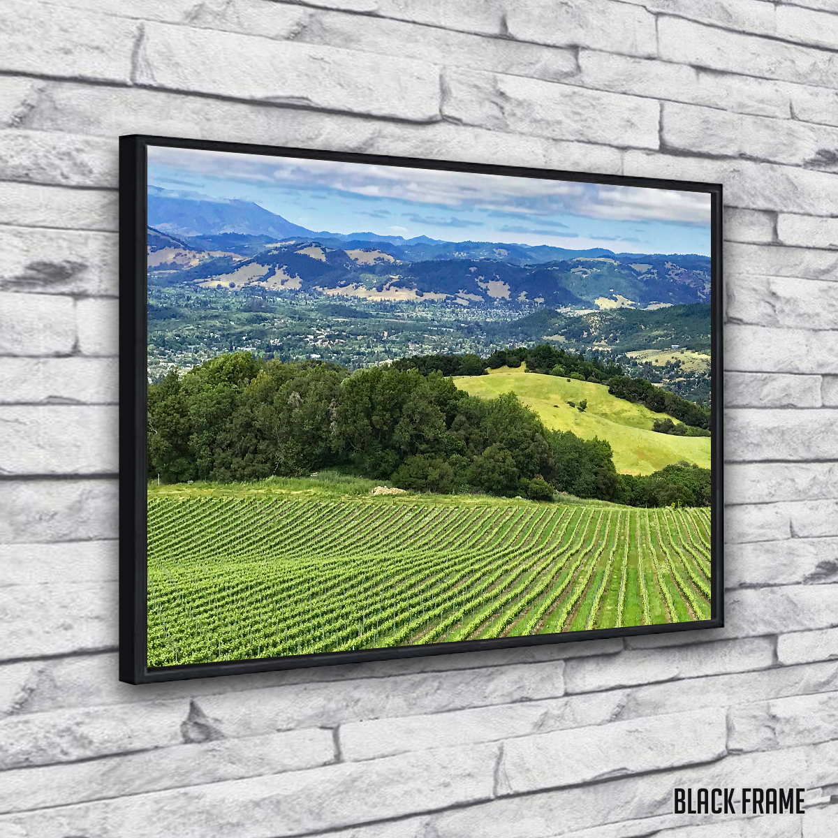 Rolling Hills and Vineyards of Sonoma County Wall Art