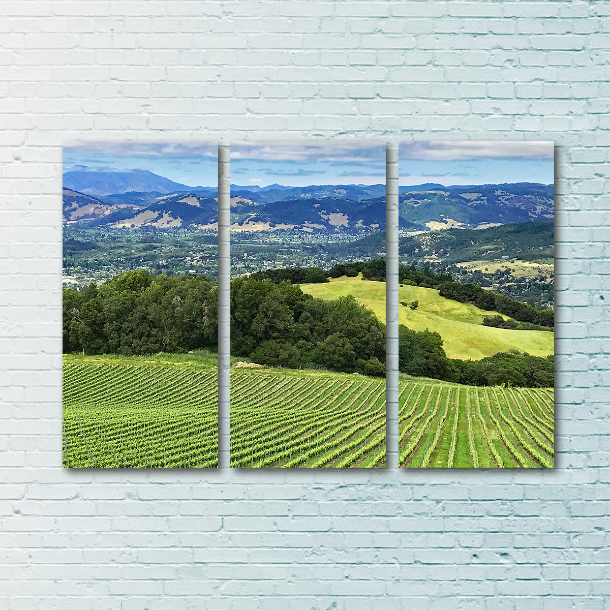 Rolling Hills and Vineyards of Sonoma County Wall Art