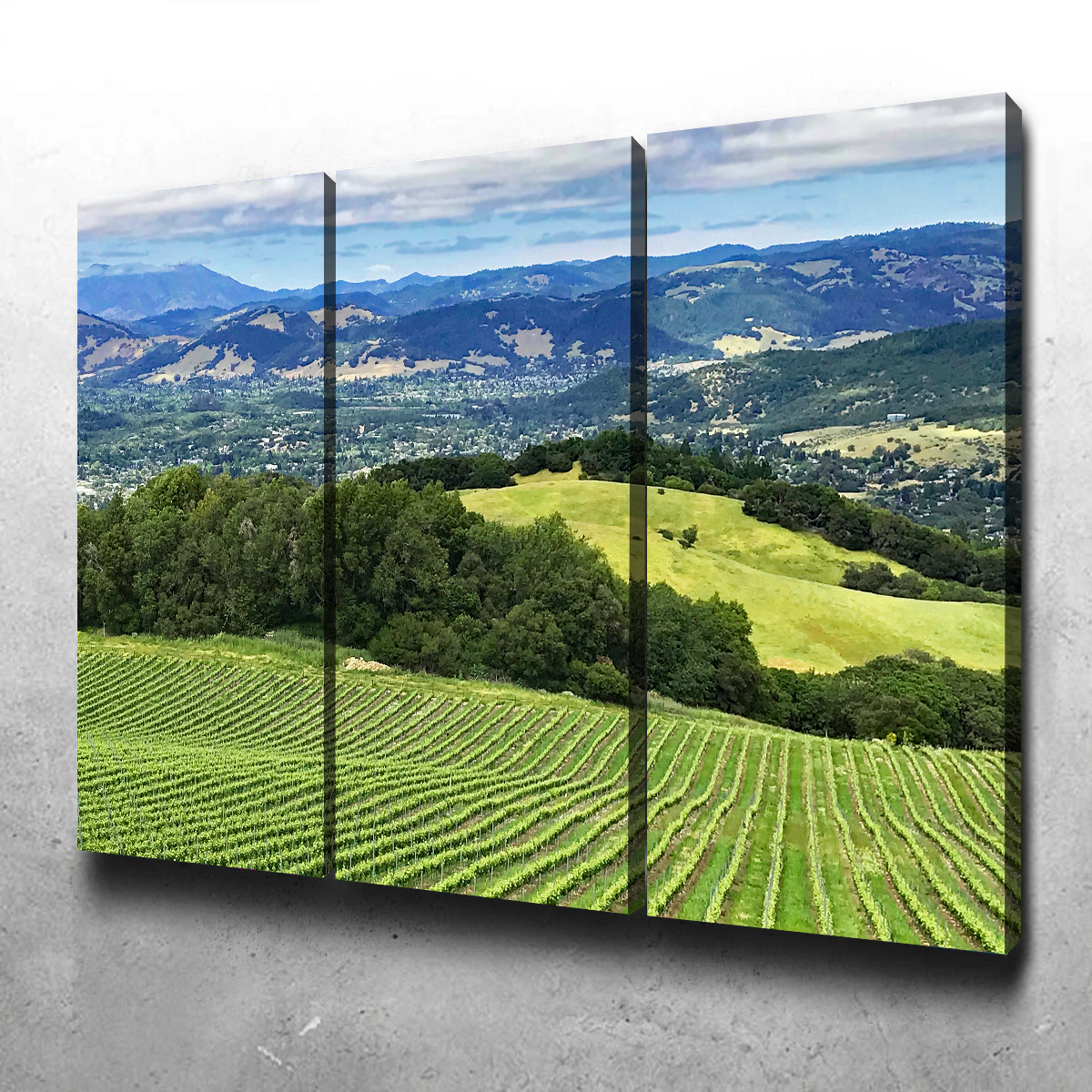 Rolling Hills and Vineyards of Sonoma County Wall Art