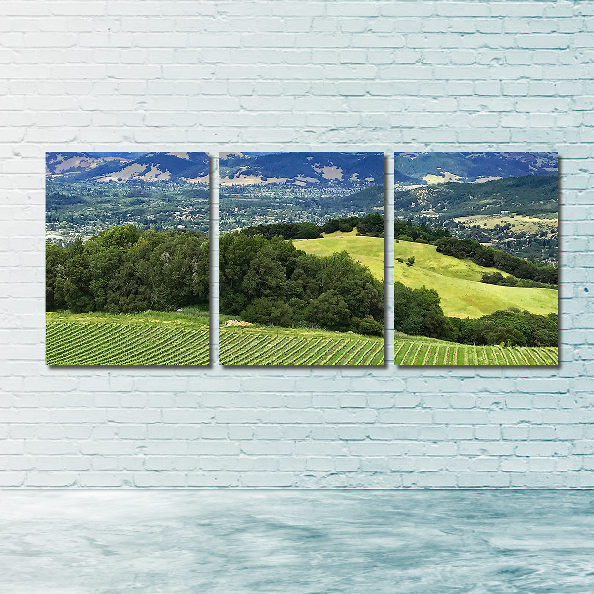 Rolling Hills and Vineyards of Sonoma County Wall Art