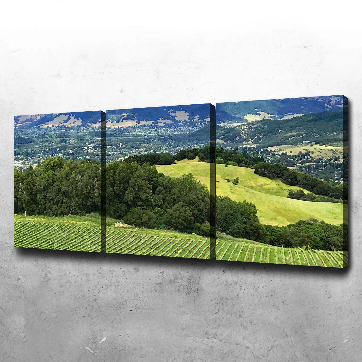 Rolling Hills and Vineyards of Sonoma County Wall Art