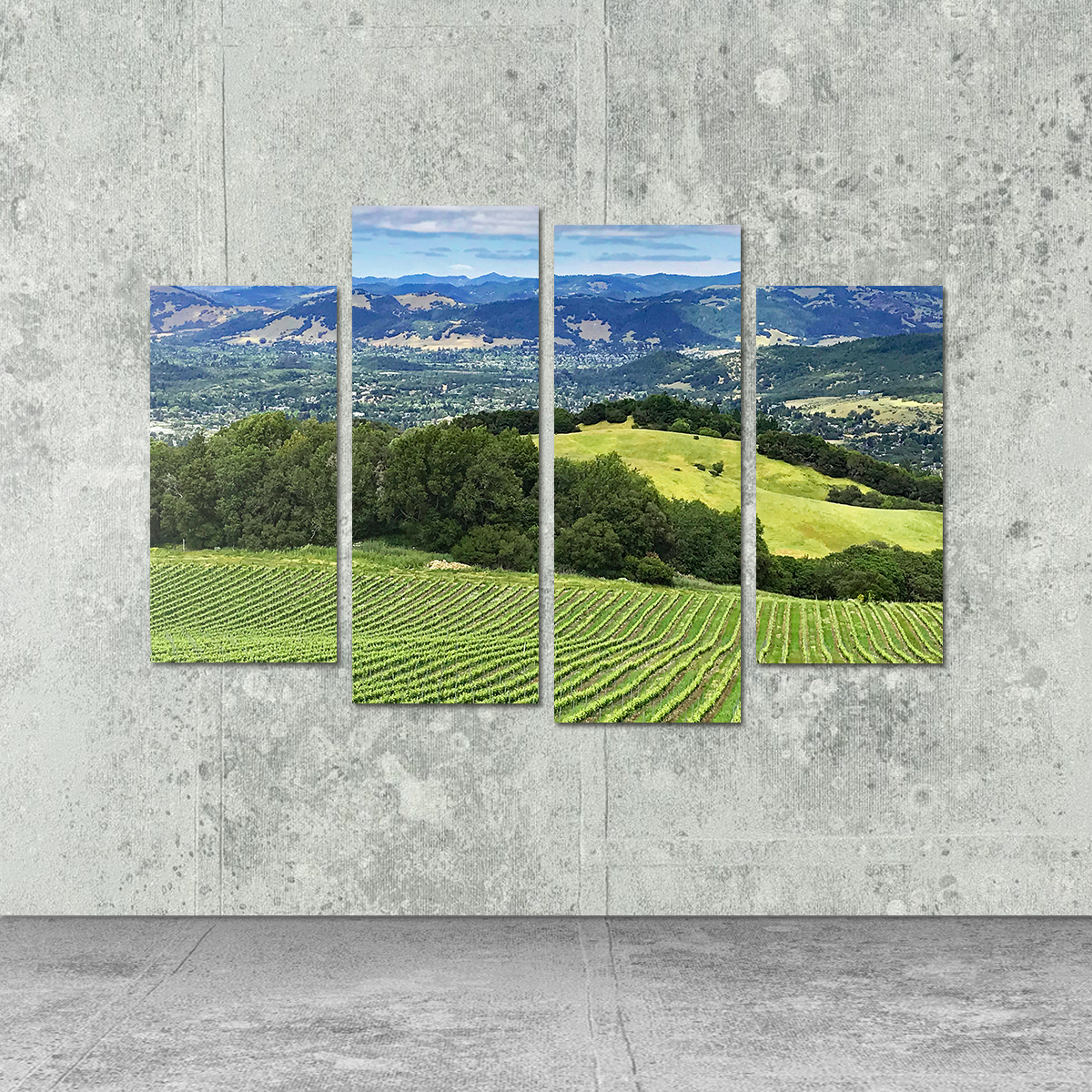 Rolling Hills and Vineyards of Sonoma County Wall Art