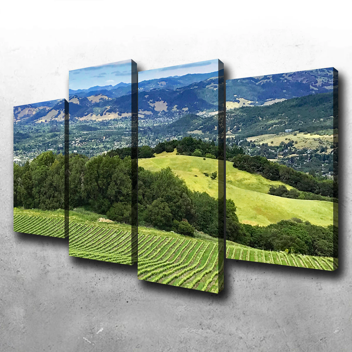 Rolling Hills and Vineyards of Sonoma County Wall Art