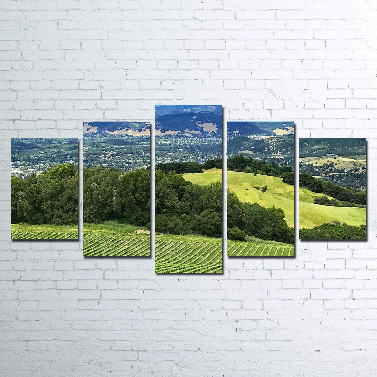 Rolling Hills and Vineyards of Sonoma County Wall Art