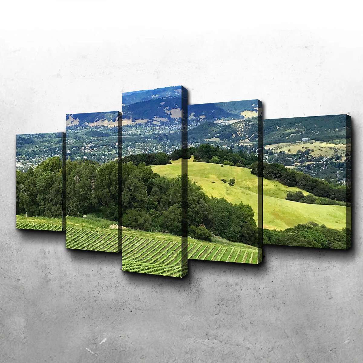 Rolling Hills and Vineyards of Sonoma County Wall Art