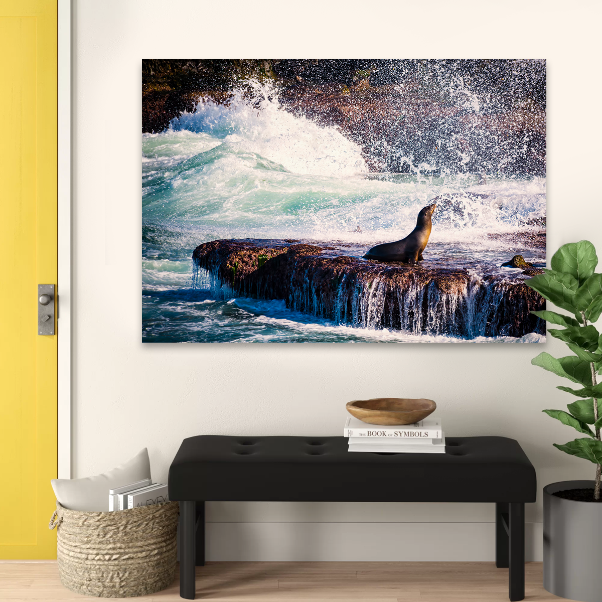 Sea Lion Surf La Jolla Wall Art