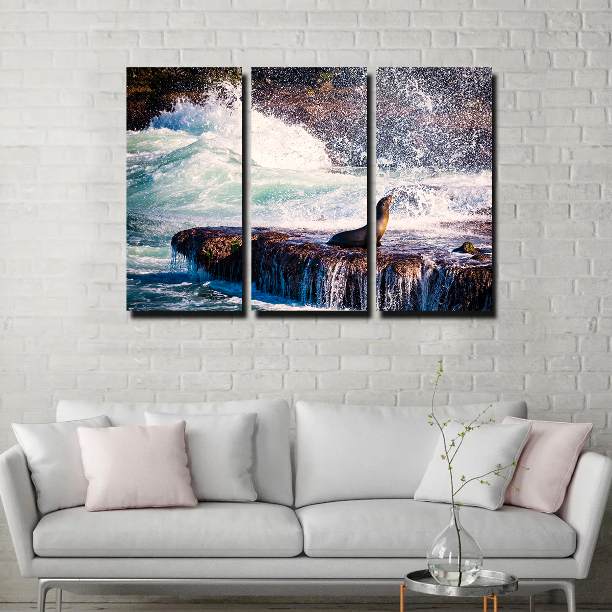 Sea Lion Surf La Jolla Wall Art