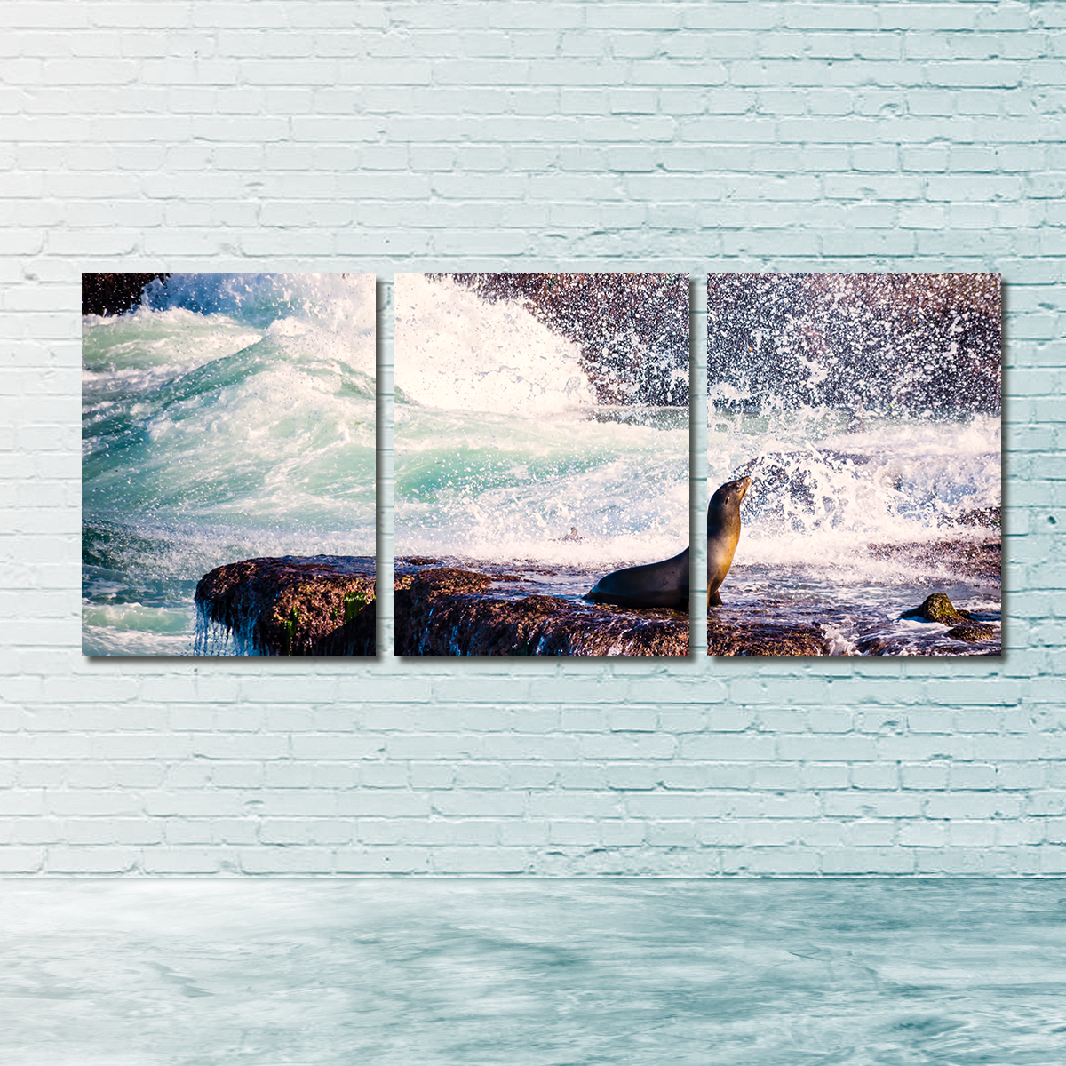 Sea Lion Surf La Jolla Wall Art